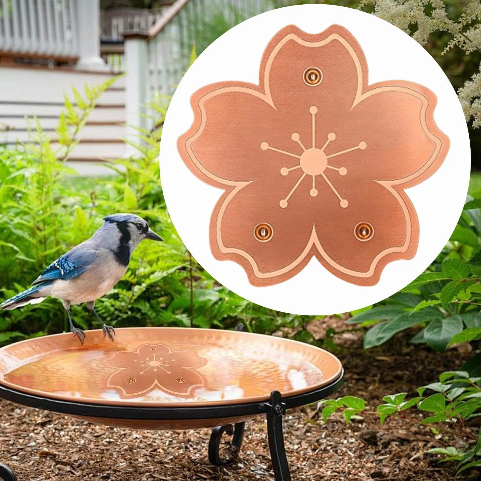 Disque en Cuivre Purificateur pour Fontaine À Oiseaux, Nettoyage Anti-Rouille 3 Pièces