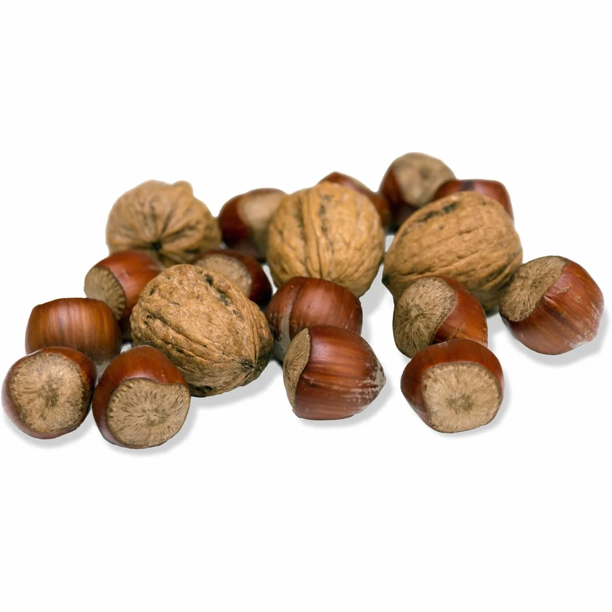 JR Garden Croquettes pour écureuil 250 g