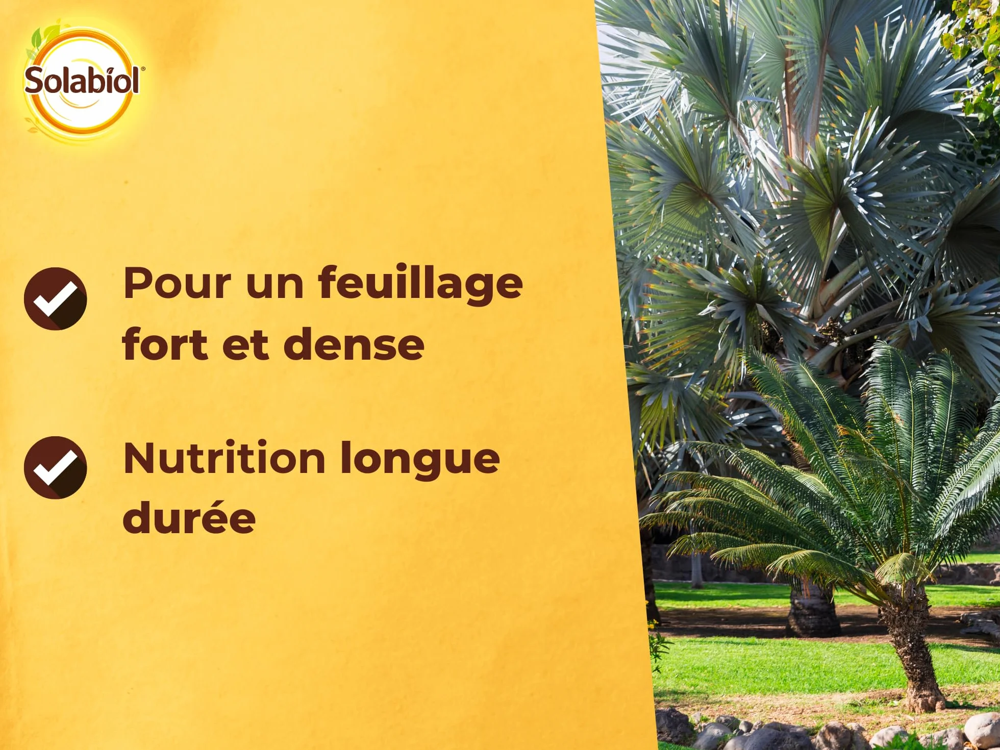 Engrais Palmiers Plantes Méditerranéennes 1,5kg SOLABIOL SOPALMY15
