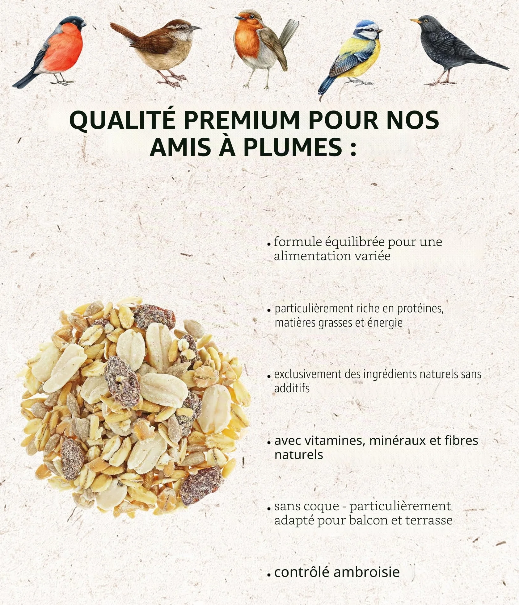 Dehner Natura Premium Nourriture pour Oiseaux Sauvages, mélange de graines sans coquilles, 3,6 kg