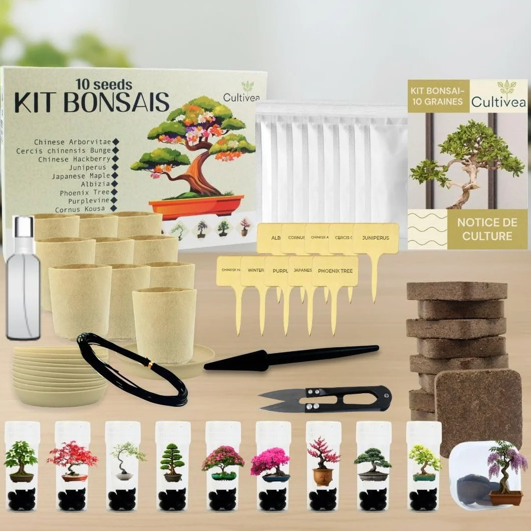 CULTIVEA® Kit Bonsai Prêt à Pousser – Coffret Complet Graines Pots Outils Notice – Jardinage Intérieur