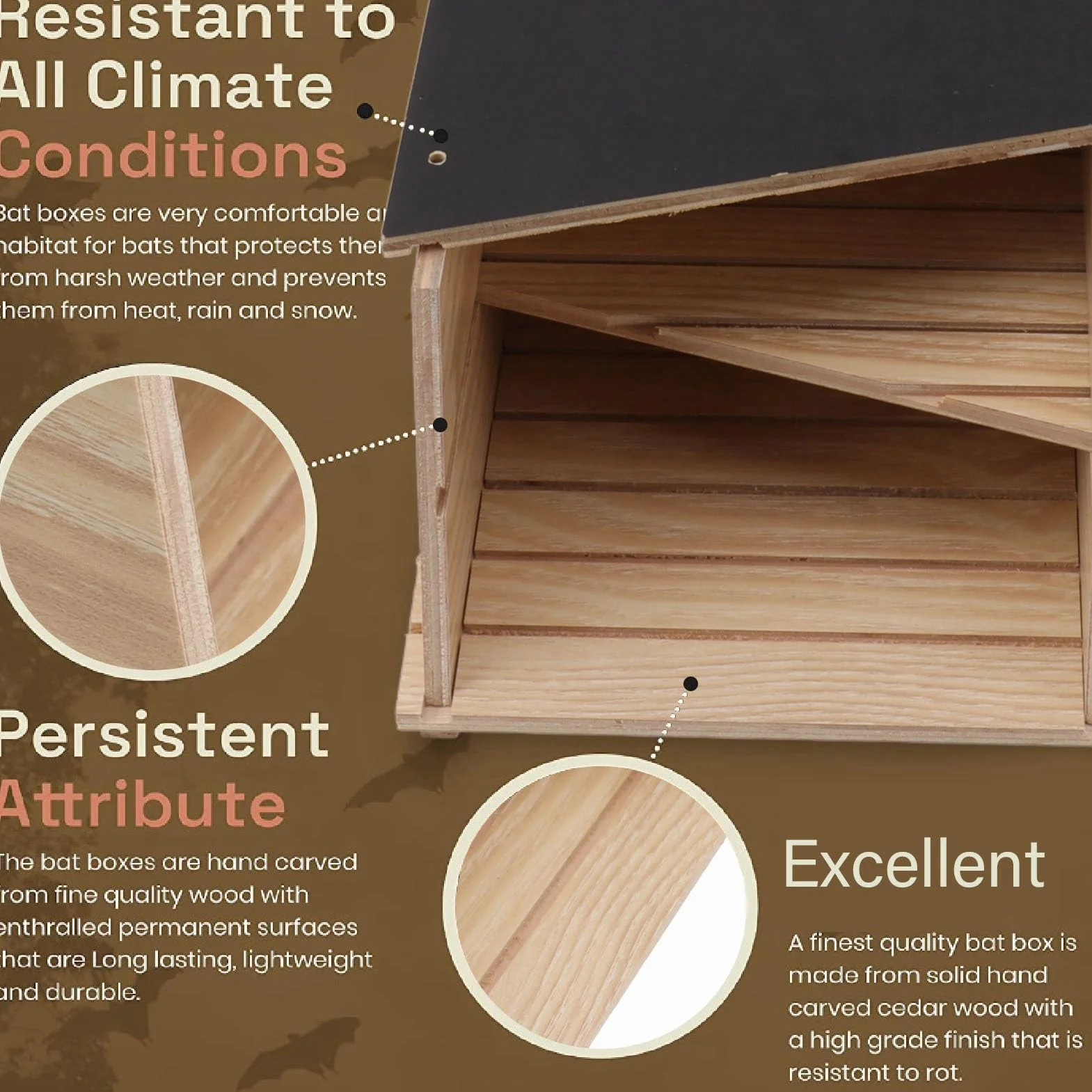 Maisons de Chauve-Souris en Bois, Boîte à Chauves-Souris Double Chambre pour l'extérieur
