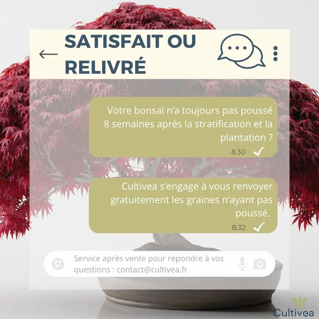 CULTIVEA® Mini Kit Prêt à Pousser 6 Bonsaï - Marque Française