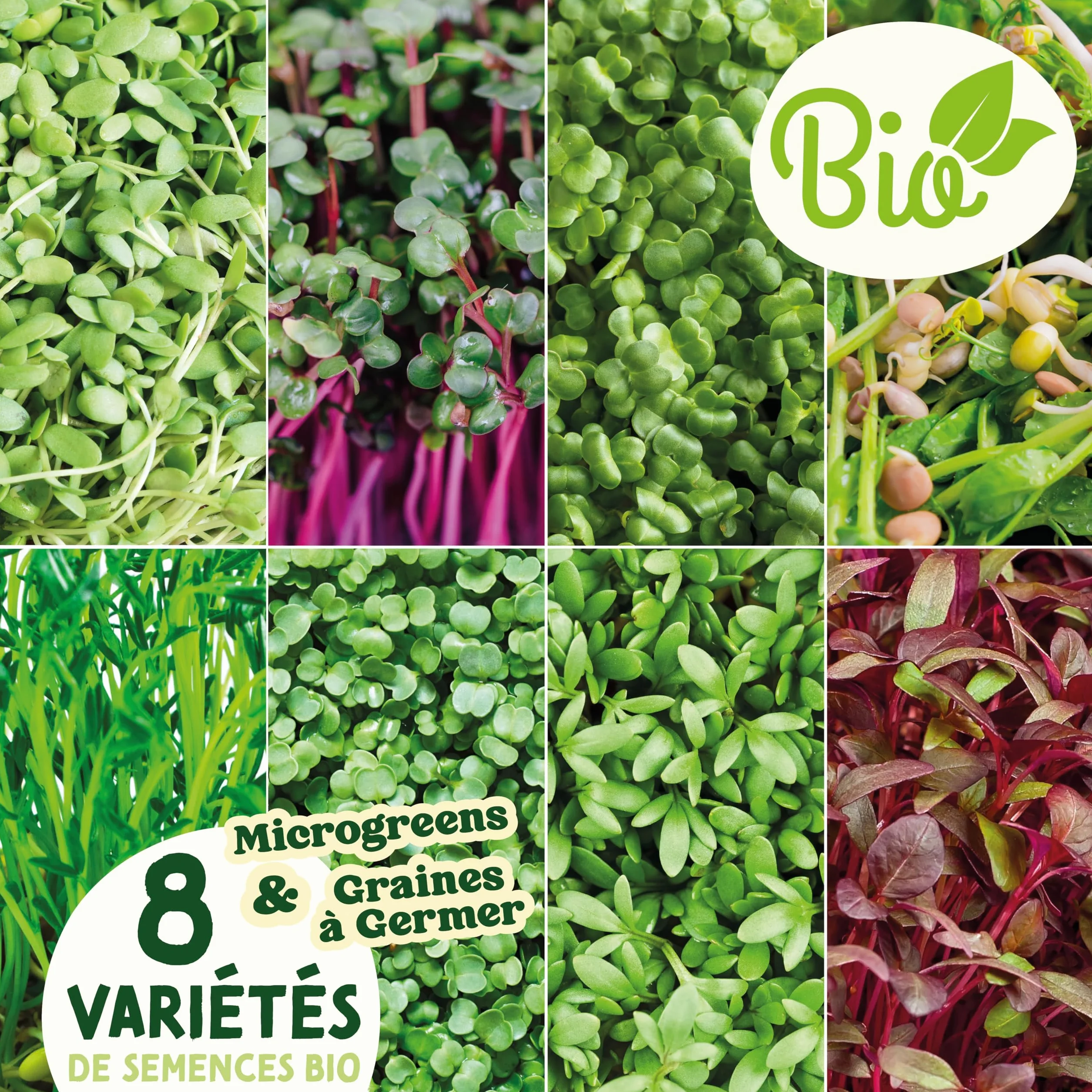 Valeaf Kit de Grains de Microgreens Assortiment de Semences Prêt à Pousser 8 Variétés de Pousses Germées