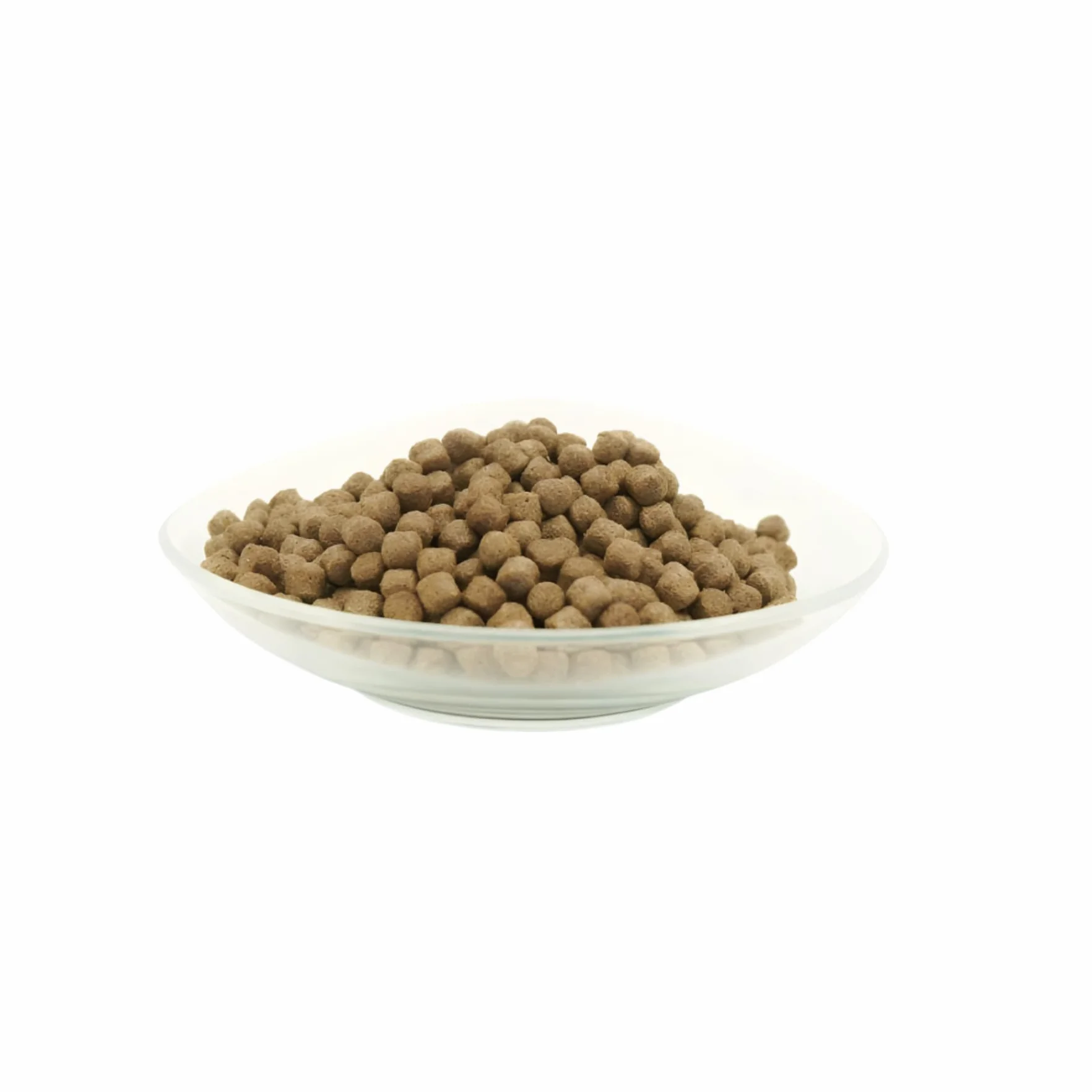 Health Koi Nourriture pour Poissons koï 1 kg 6 mm Actigen Forplus Algues oméga-3