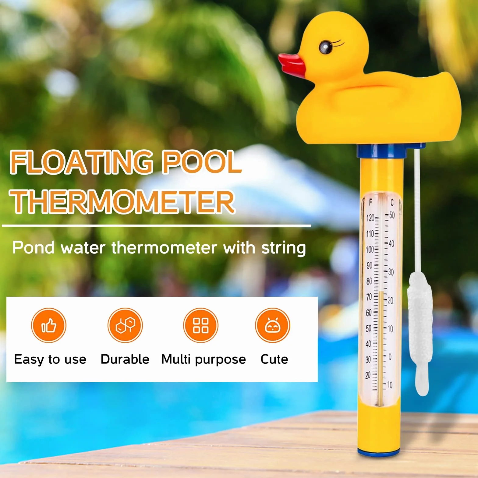 Thermomètre flottant pour piscine et aquarium, intérieur et extérieur, avec cordon