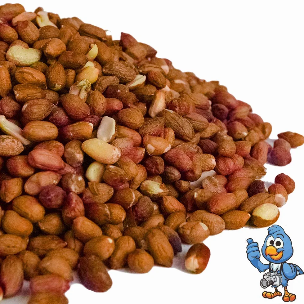 BusyBeaks Arachides Entières Aliment Énergétique pour Oiseaux Sauvages (10kg)