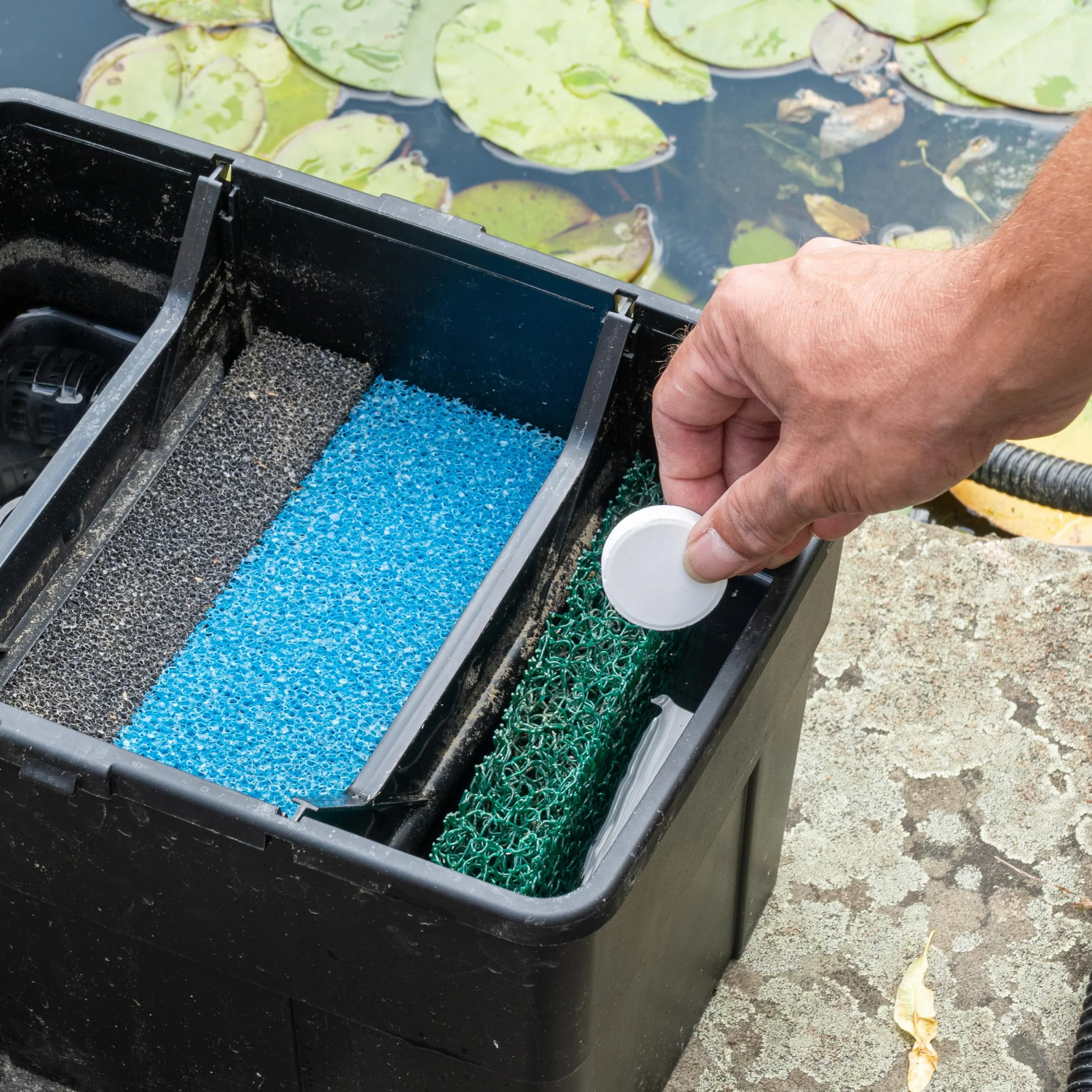 Envii Filter Feed Bactéries pour Filtres Bassin 20 000 litres