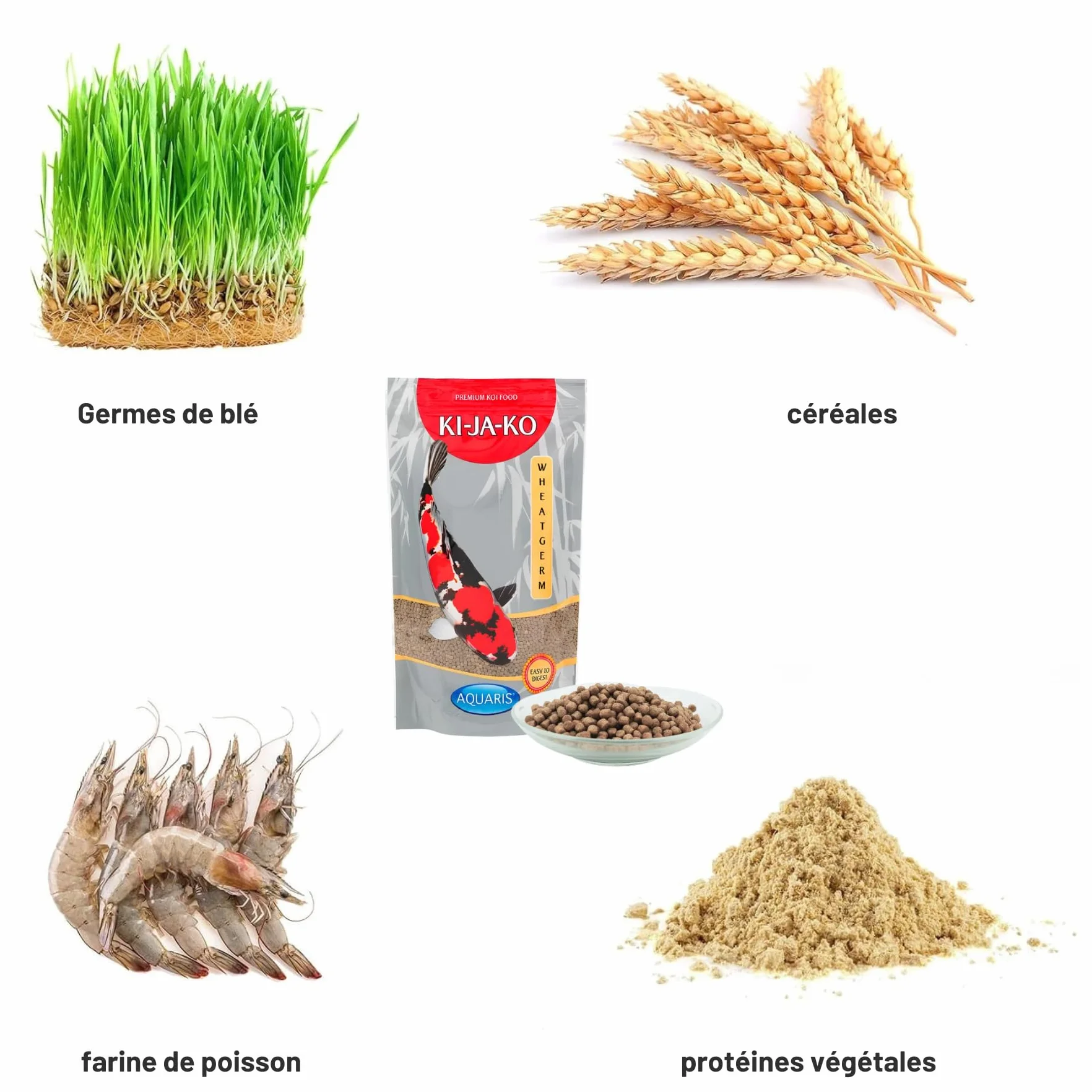 Nourriture pour carpes koï 3 kg 6 mm germes de blé Printemps Automne