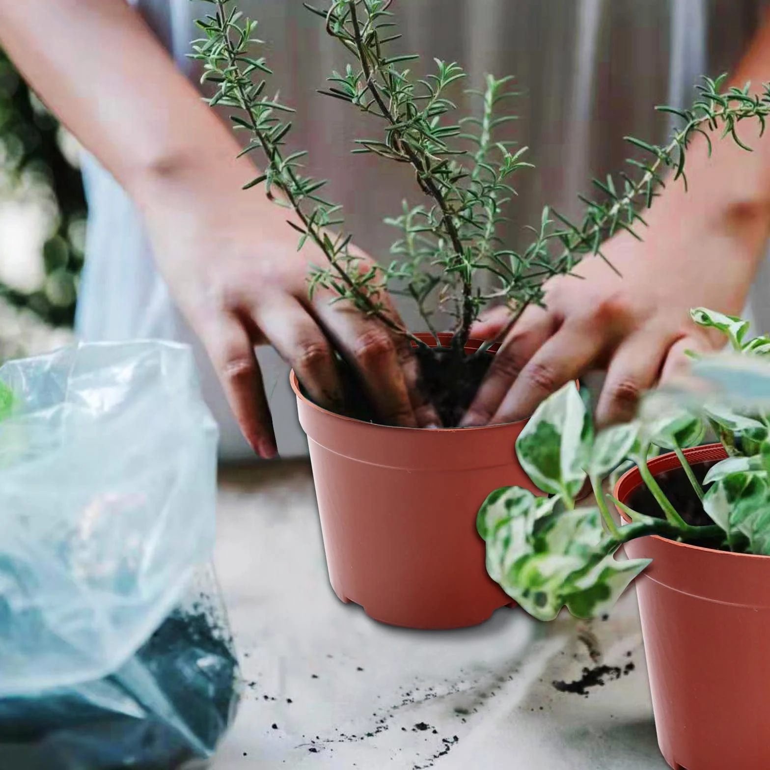 Pots pour Semis 6cm 40 Pièces Réutilisables en Plastique pour Pépinière