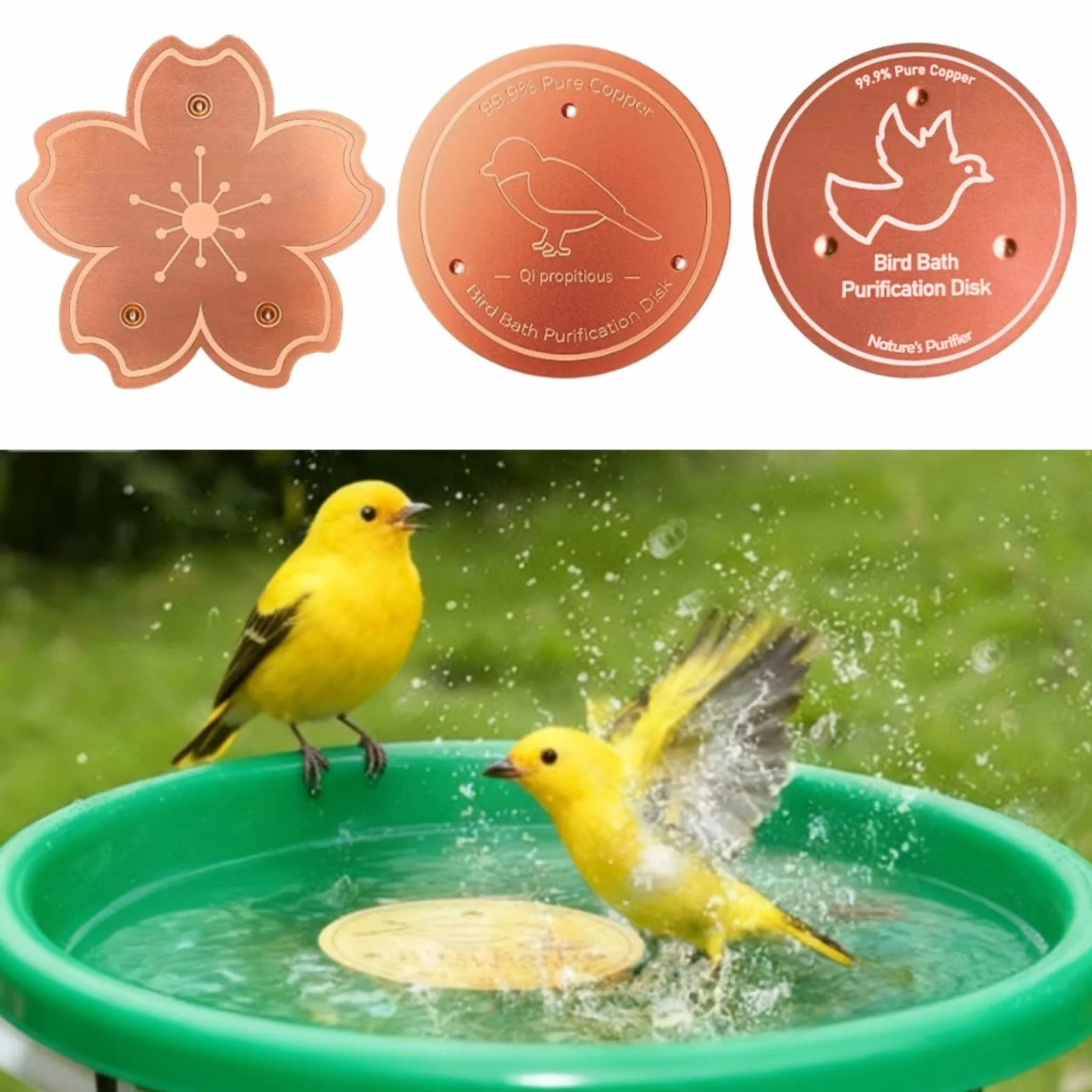 Lot de 2 disques de purification en cuivre pour bain d'oiseaux, plaques antirouille robustes avec support stable pour extérieur