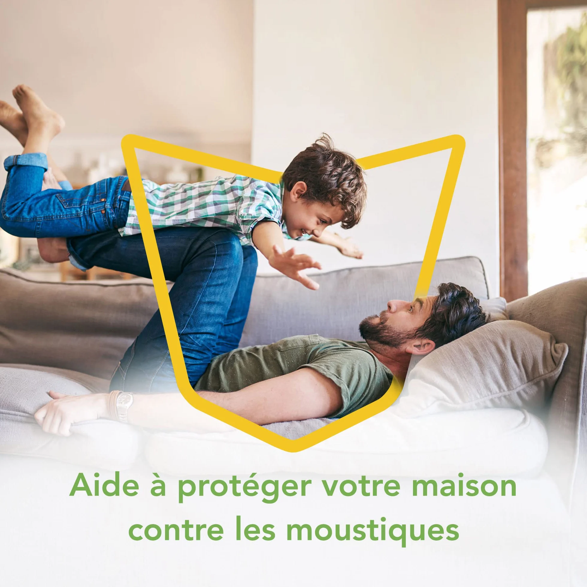 Raid Aérosol Volants Répulsif Moustiques Tigres 300 ML