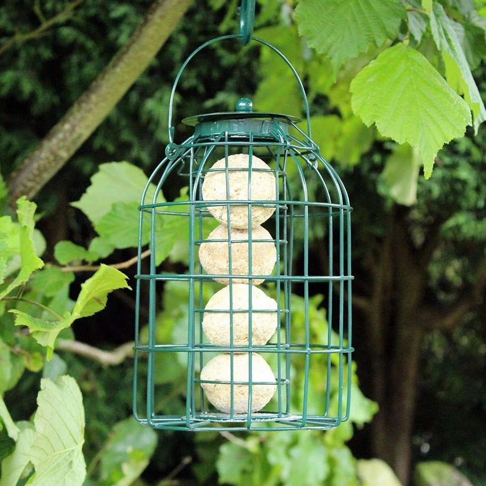 Kingfisher Mangeoire à Boule de Graisse, Protection Anti-écureuils