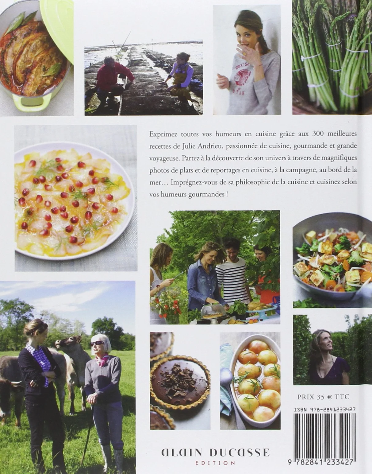 Mes 300 meilleures recettes by Julie Andrieu
