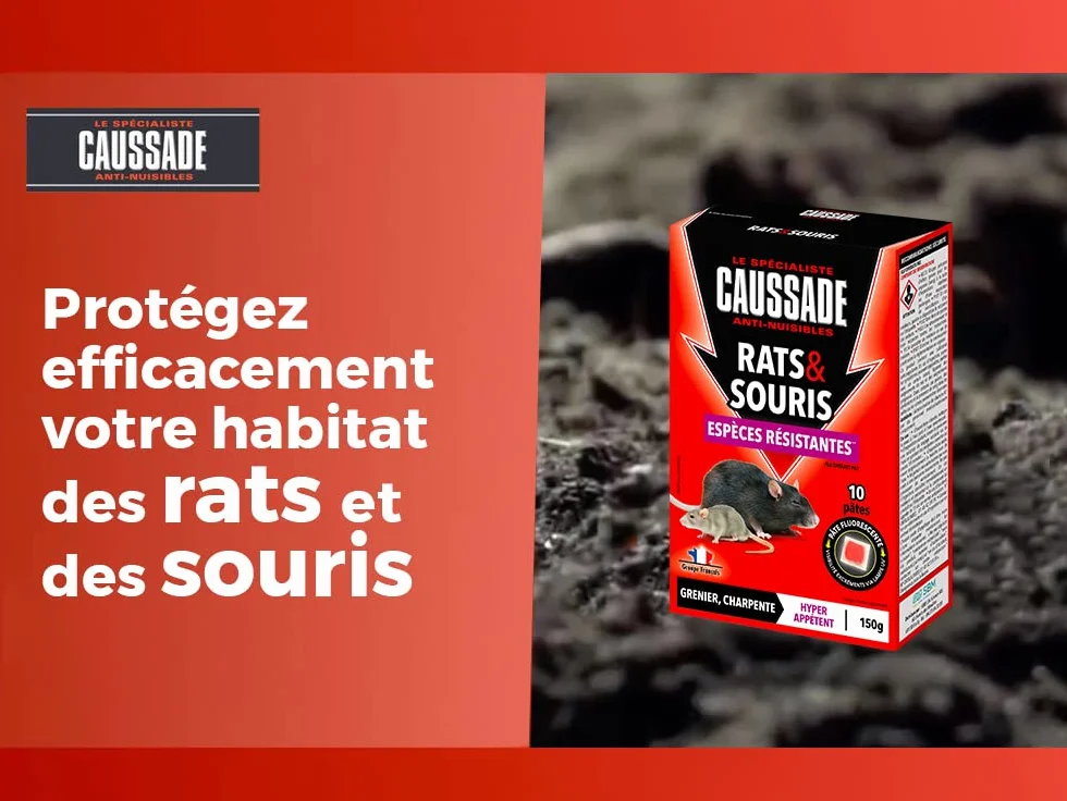 CAUSSADE Anti Rats & Souris 10 Sachets Pâtes Fluorescents 150g Fabriqué en France