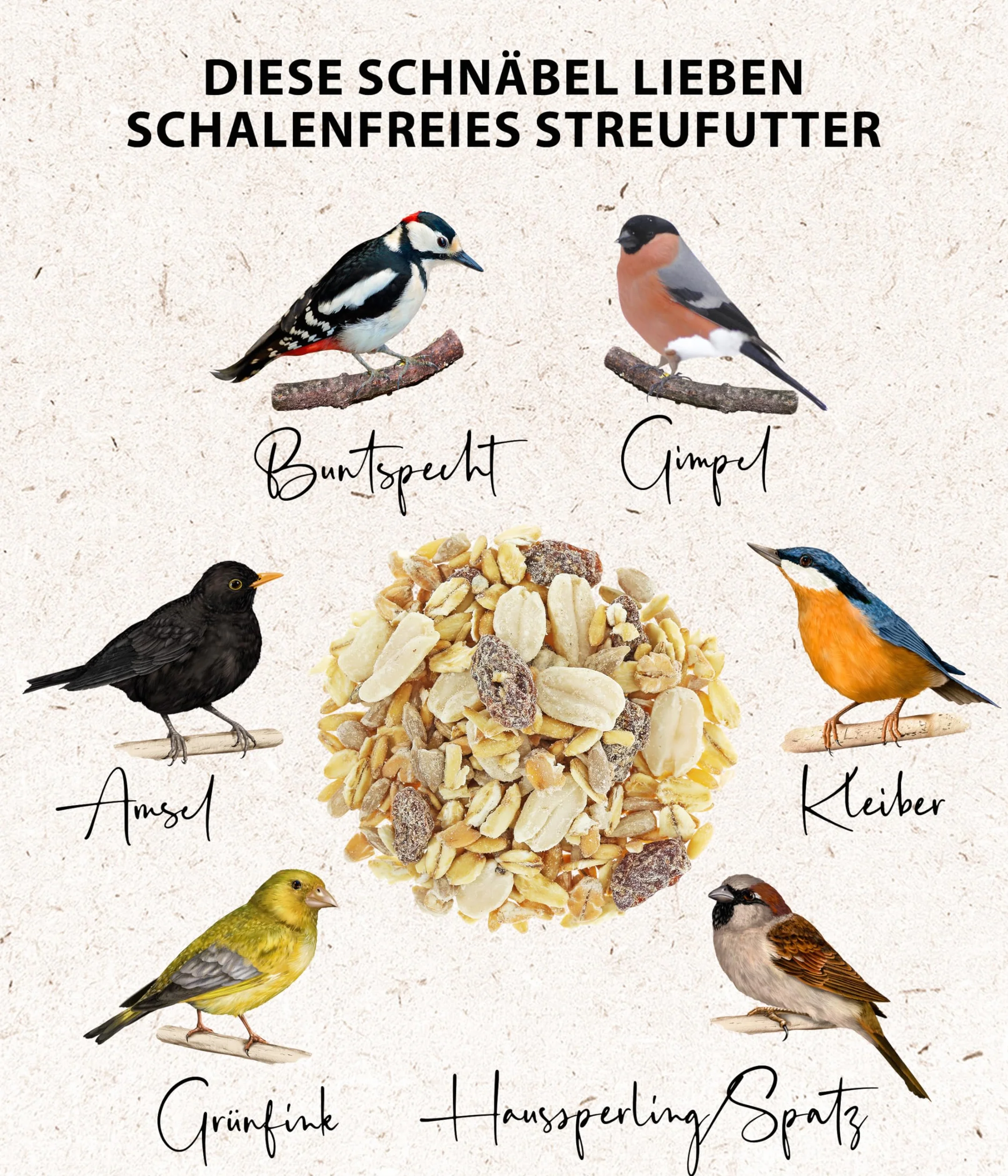 Dehner Natura Premium Nourriture pour Oiseaux Sauvages, mélange de graines sans coquilles, 3,6 kg