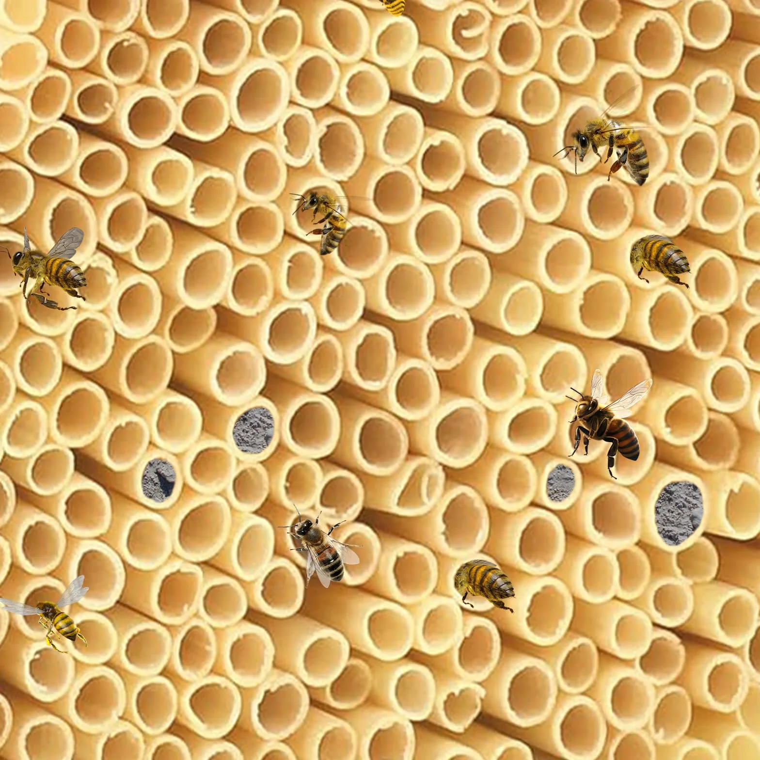 Kit Maison d'abeille 500PCS, 14.5cm de Long, Diamètre 3-5mm, Pailles de Blé Tube Abeille, Aide à la Nidification