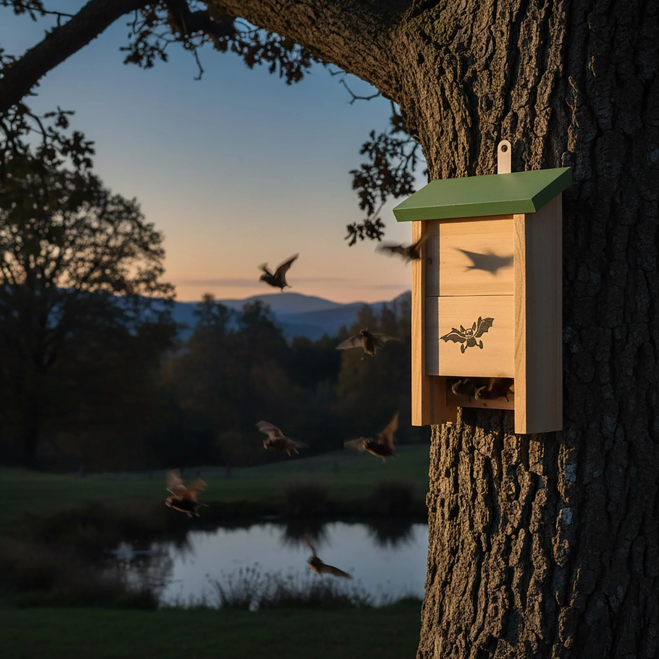 Relaxdays Nichoir Chauves-Souris Lot de 2 Bois Non traité 25 x 18 x 6 cm Naturel/Vert