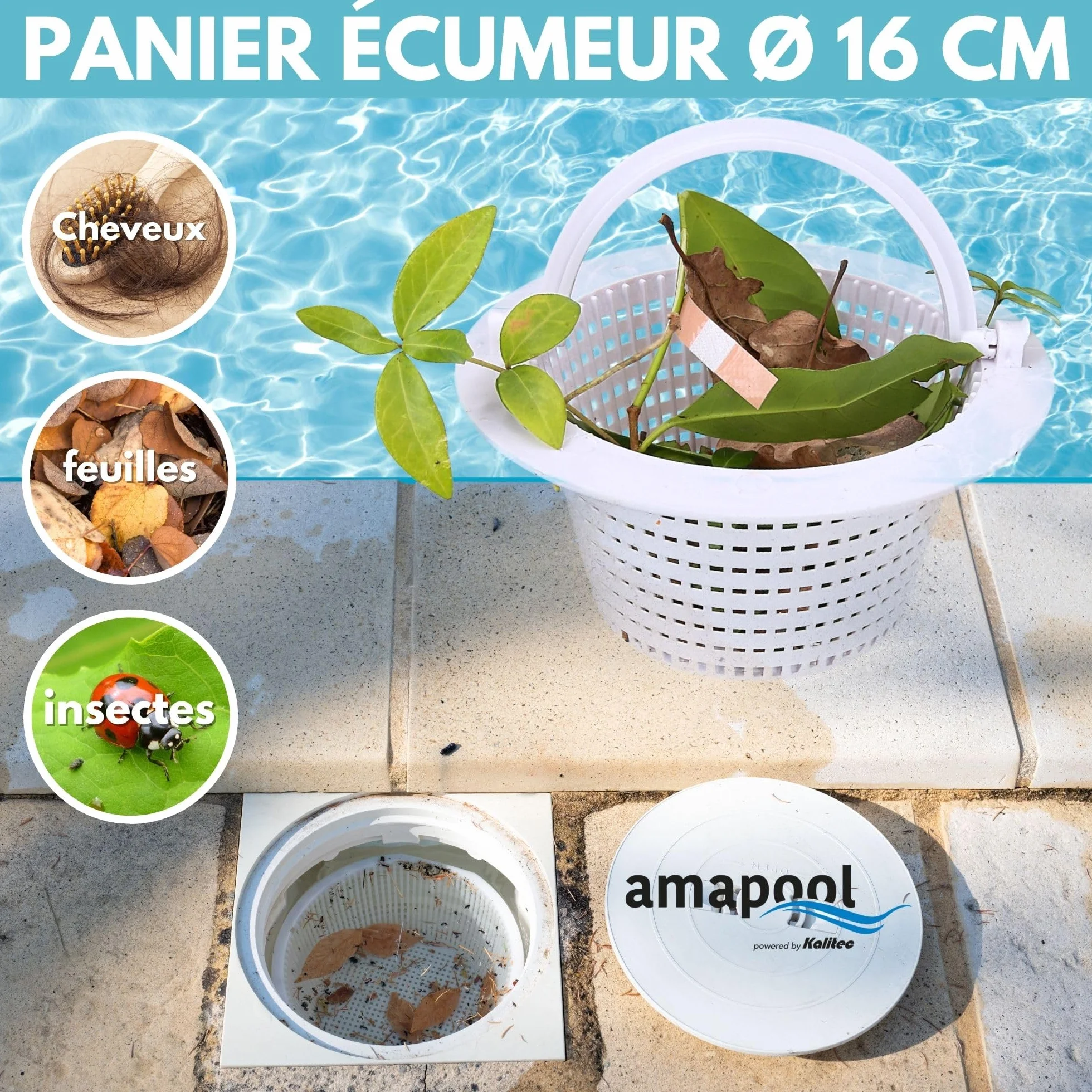 Amapool Panier de Skimmer 16 cm - Remplacement Piscine - préfiltre Bassin Tamis - résistant au Chlore