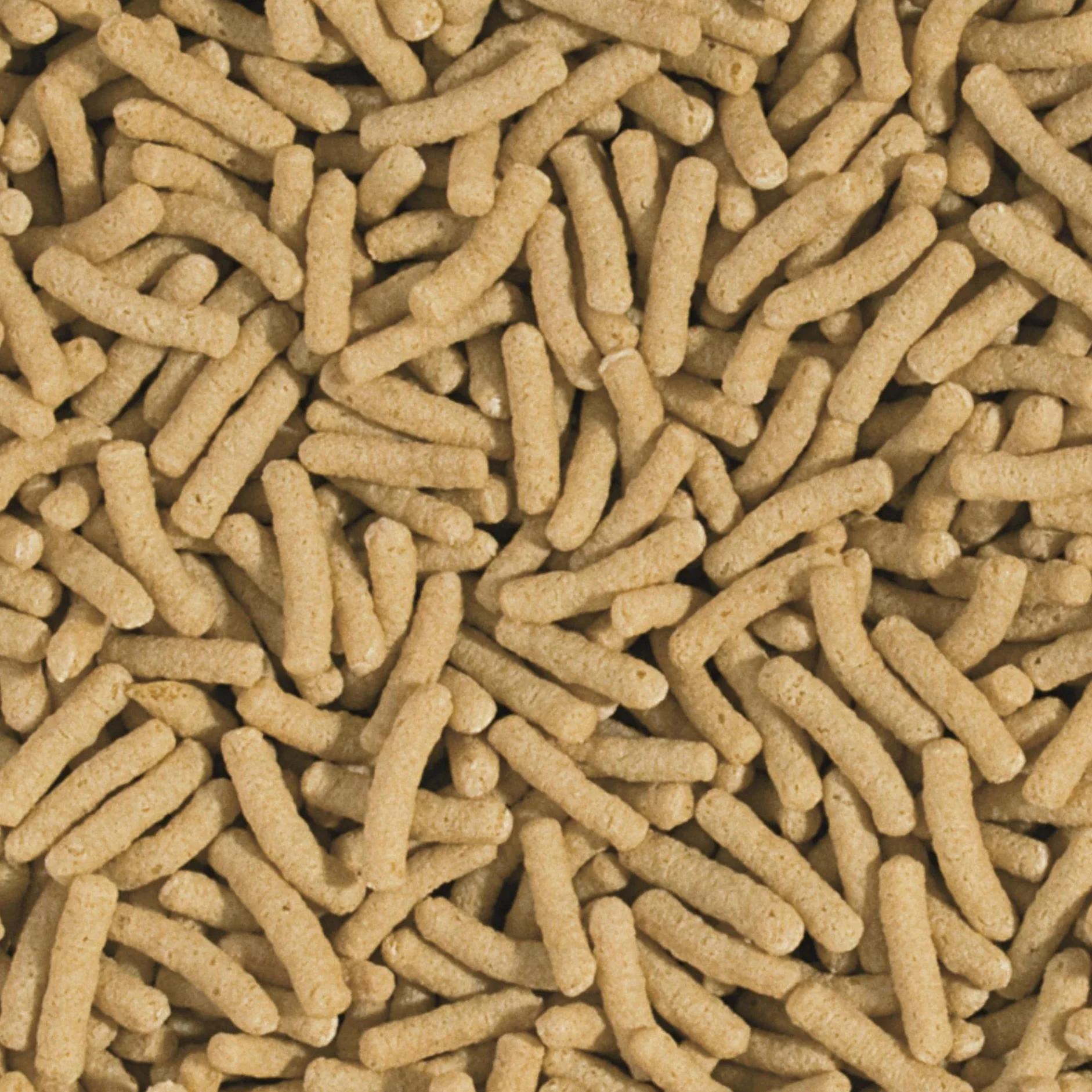 Koi&Goldfish Basic Sticks 11L 900g Aliment de Base Flottant pour carpes koï et Poissons d'étang