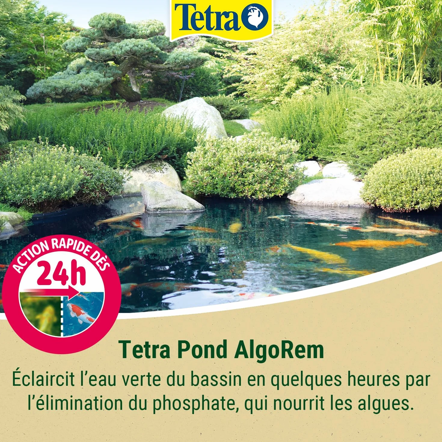 Tetra Pond AlgoRem Traitement Eau Bassin Jardin 500 ml