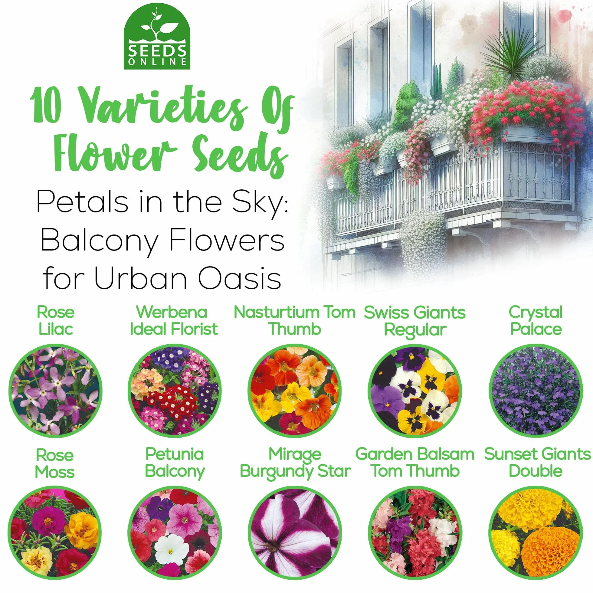 Nojus Lot de graines de fleurs 10 variétés - Graines de fleurs de balcon colorées sauvages