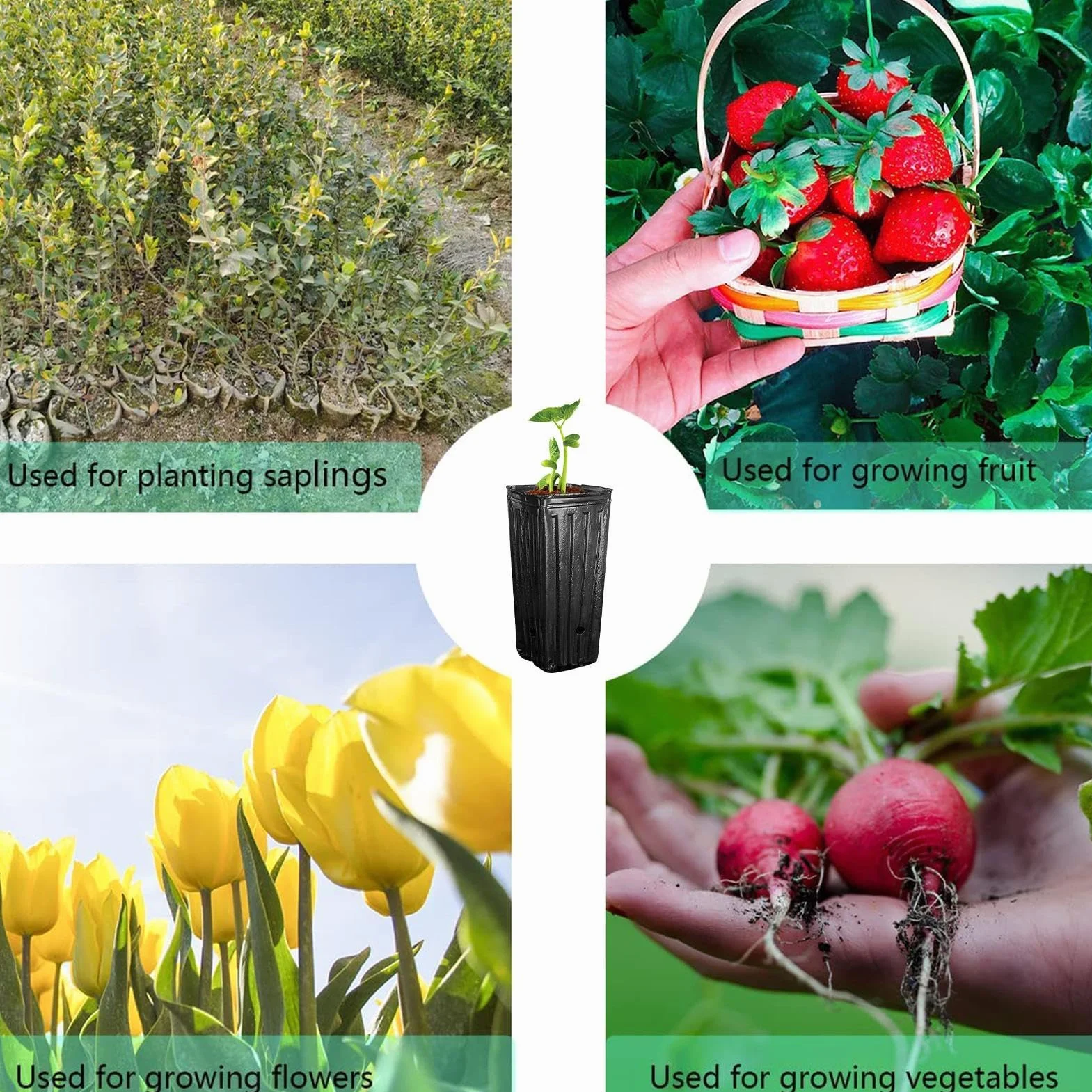 Godets pour Semis Tomates 20 Pièces Pot de Fleurs Plastique 20x10cm