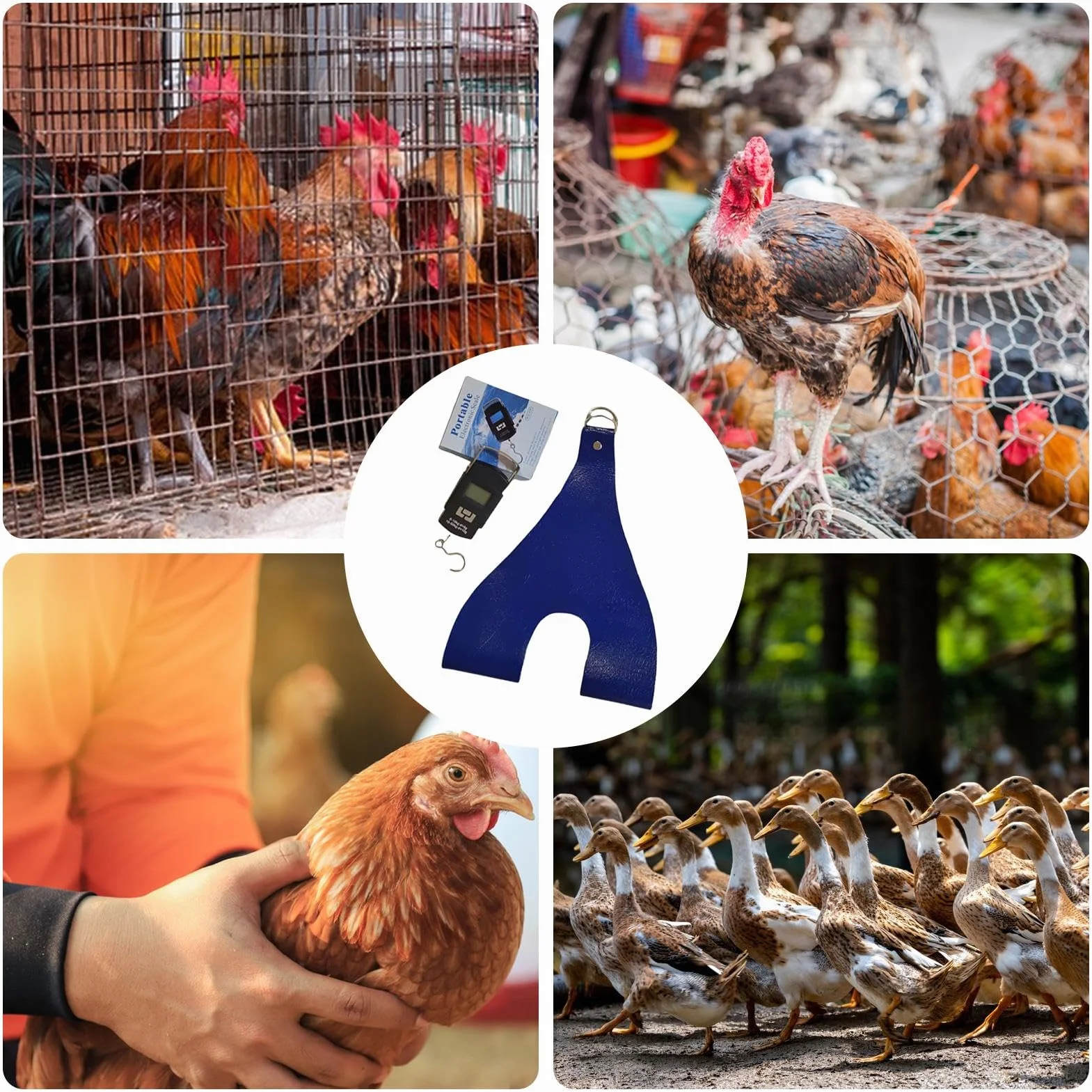 Balance électronique pour volaille Sac de pesée de poulet Élingue de support avec échelle de poids