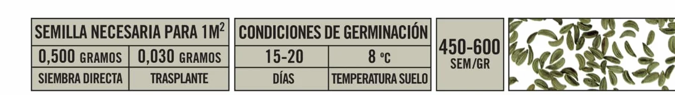 Batlle Graines aromatiques Persil géant d'Italie 9g