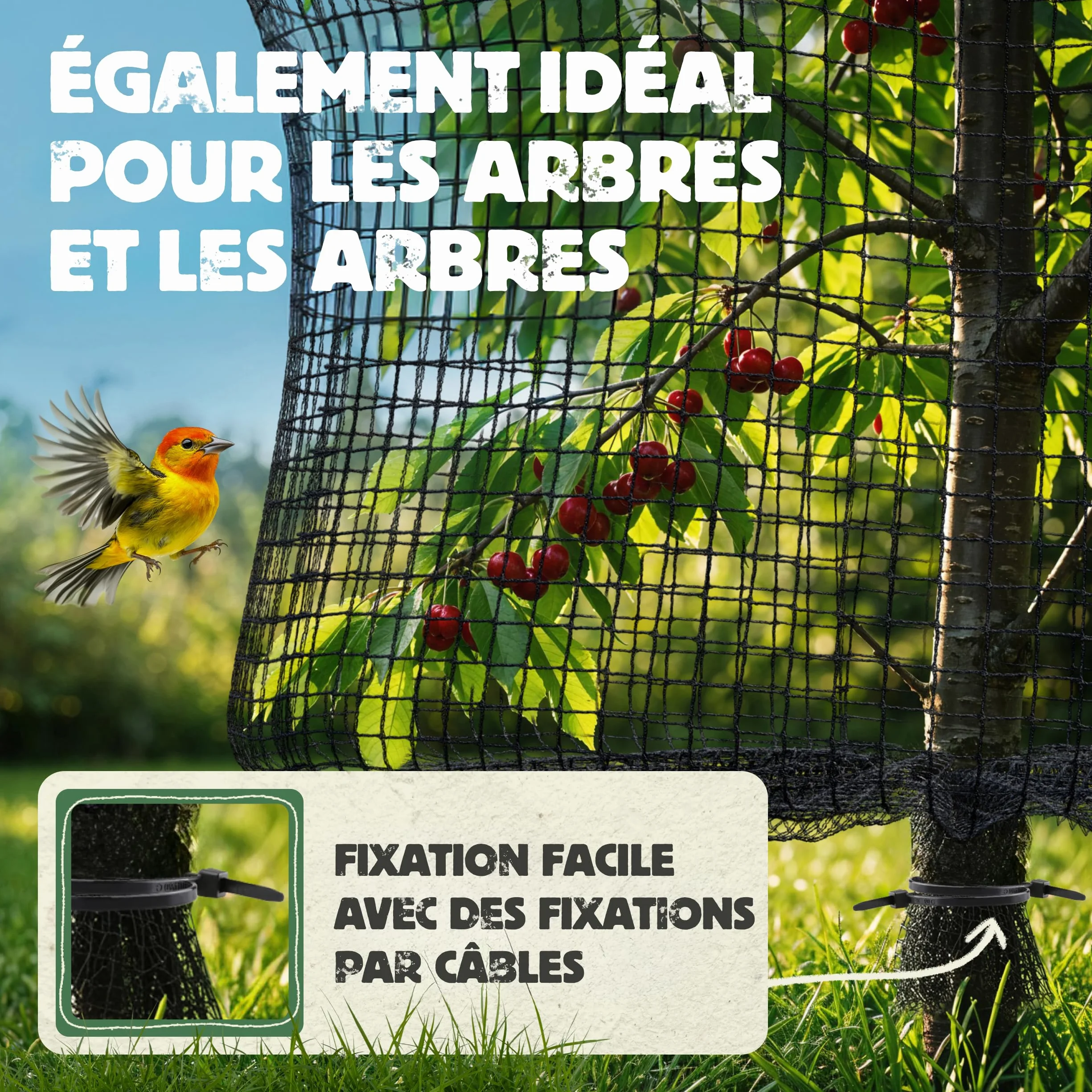 LAINFELD Filet d'étang à mailles fines 2 x 5 m Résistant aux intempéries et aux UV Filet de balcon contre les pigeons et les hérons
