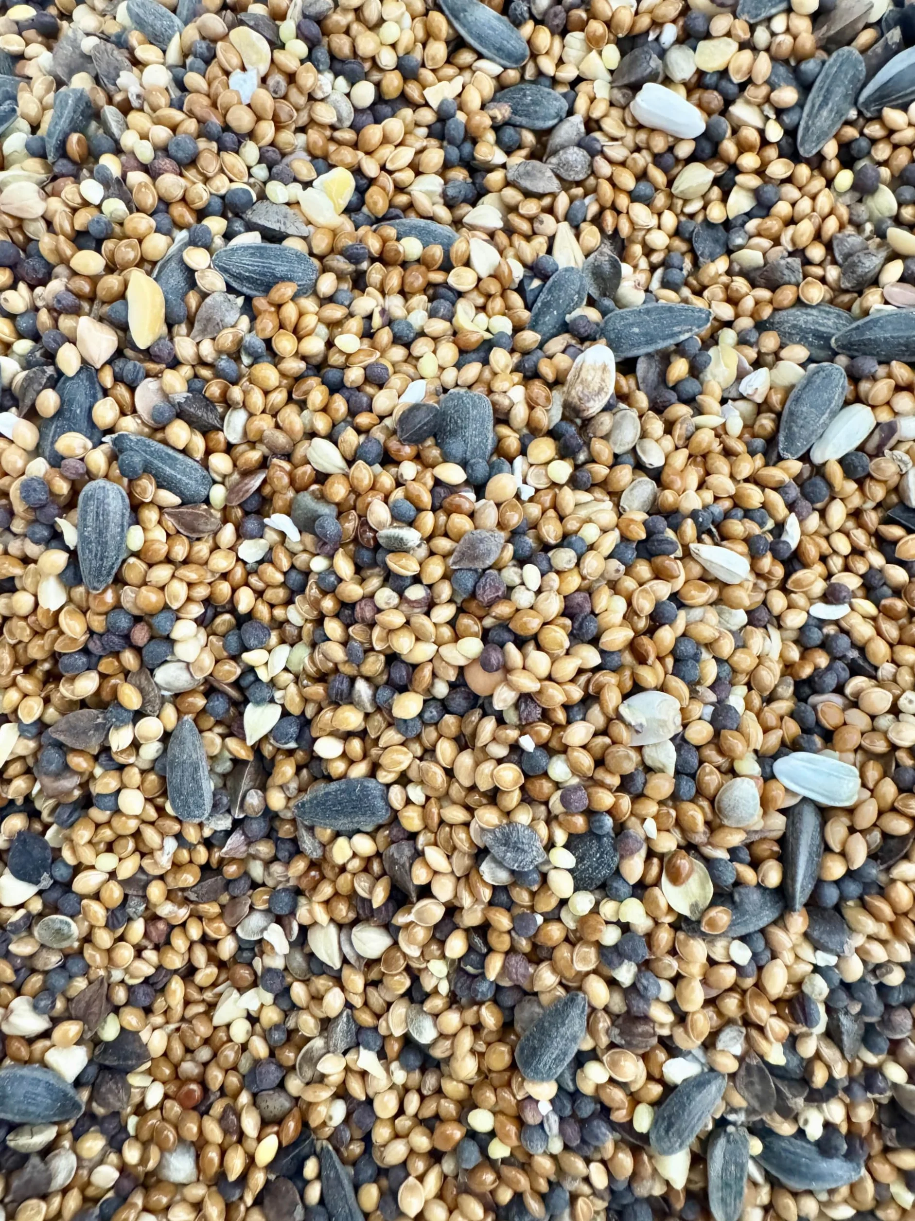 POSH Nourriture pour oiseaux sauvages 20 kg 4 saisons mélange premium