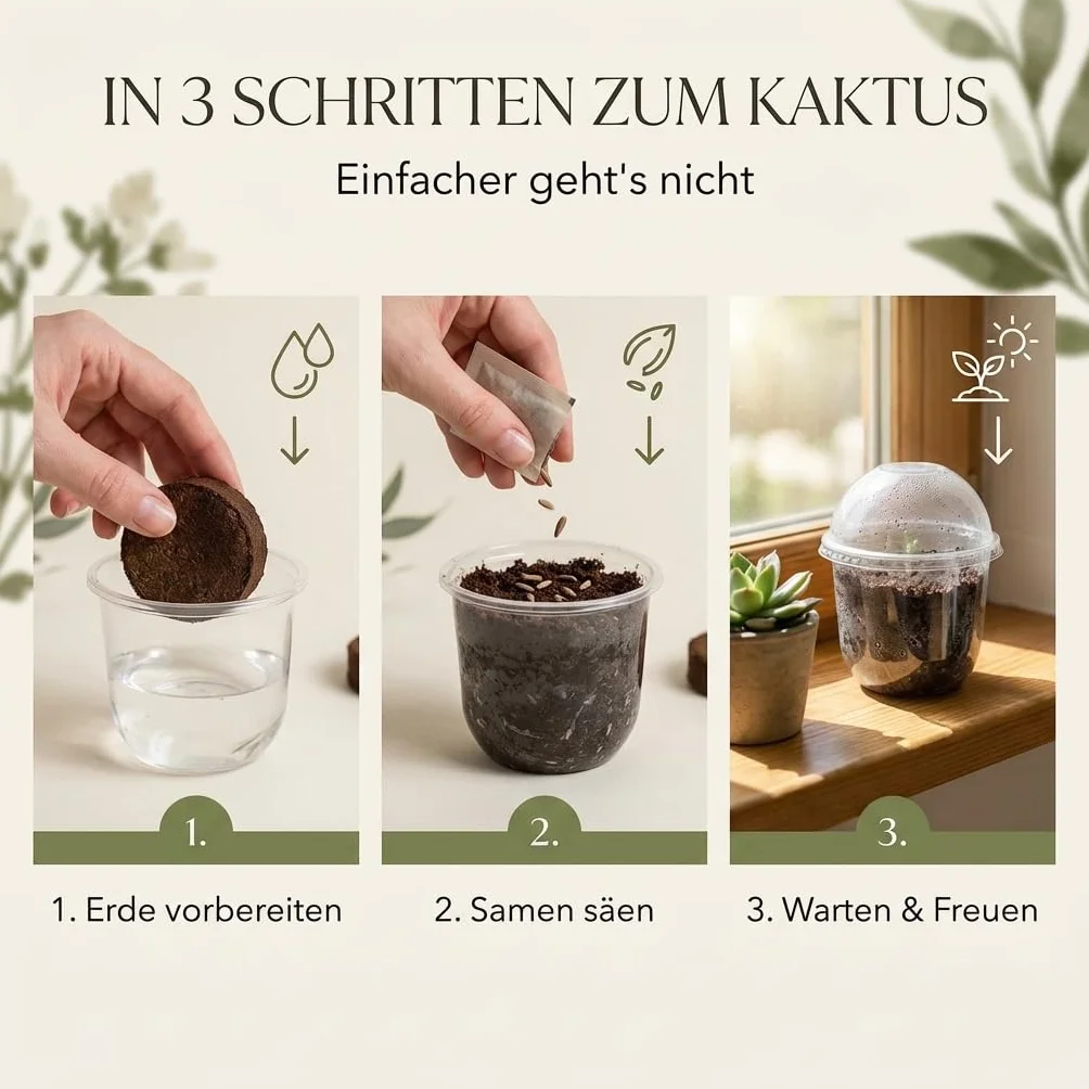 GROW2GO Kit de culture de cactus - Set de plantation mini-serre avec graines et terreau
