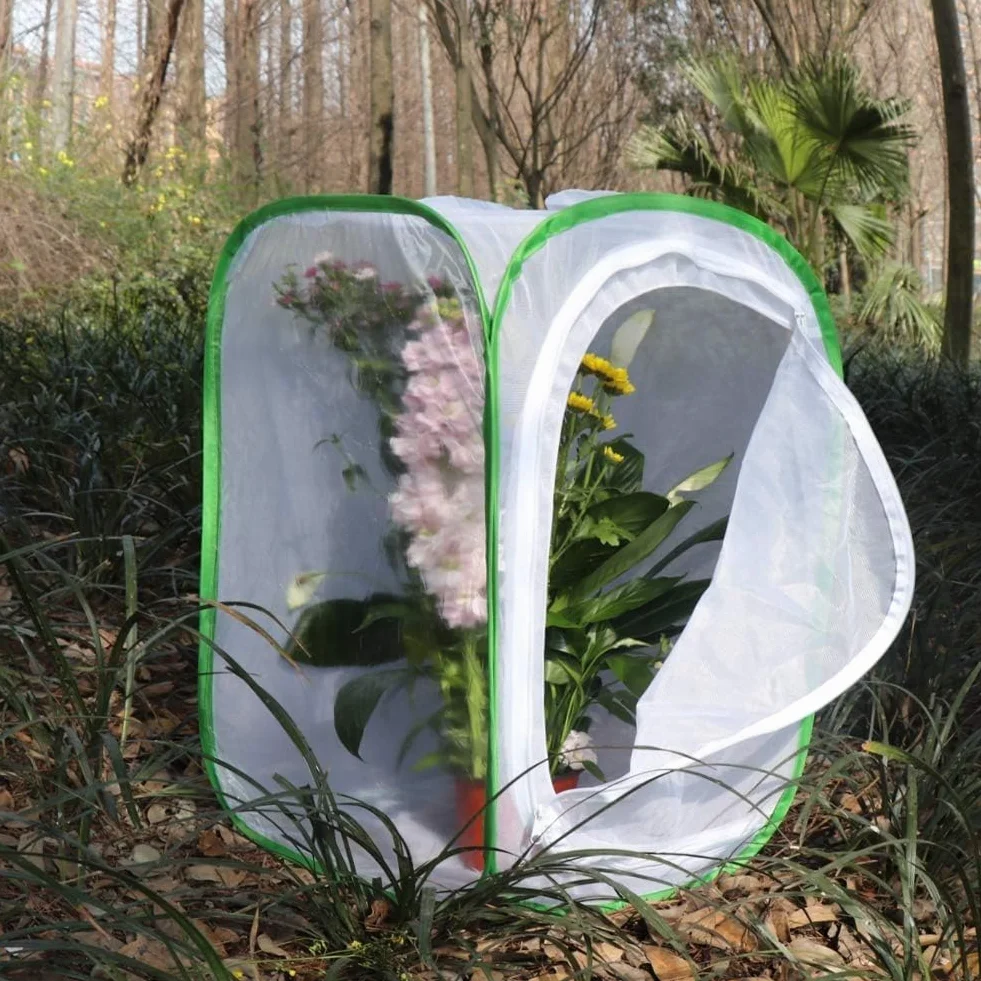 Lot de 2 cages d'habitat pour insectes et papillons - 40 x 60 cm