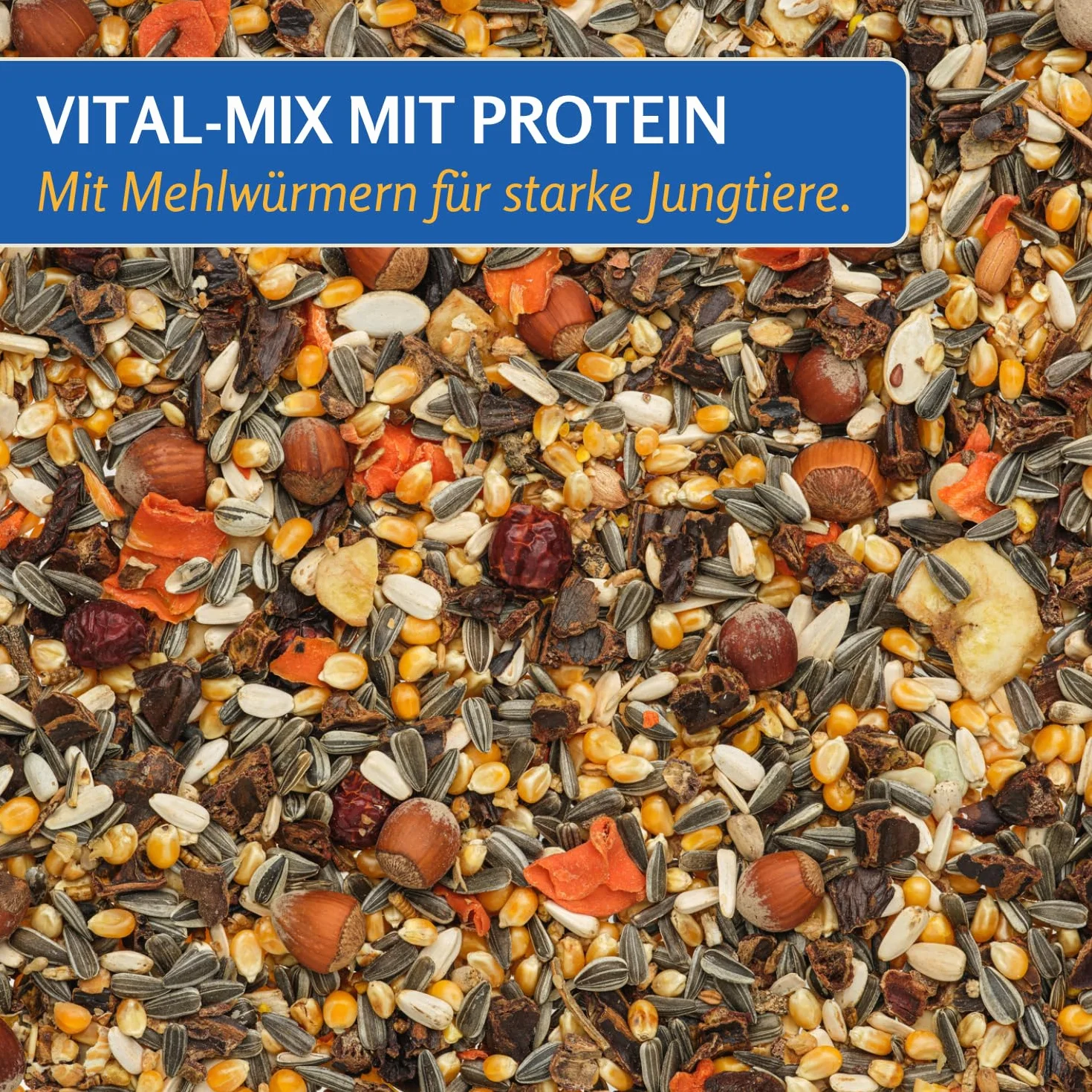 Leimüller Nourriture pour écureuils Premium 1 kg - Mélange avec Noisettes entières et vers de Farine