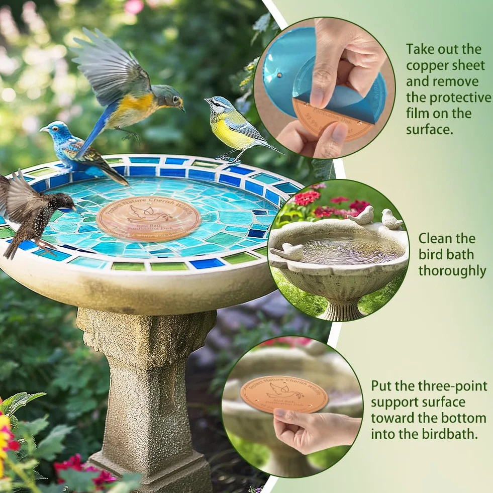 FINGERINSPIRE 4Pcs Disque de Baignoire pour Oiseaux en Cuivre Pur 99.9% 10cm Prévention des Algues