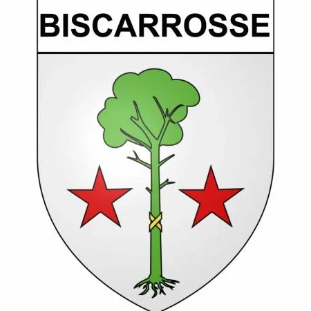 Biscarrosse 40 ville Stickers blason autocollant adhésif - Taille : 8 cm