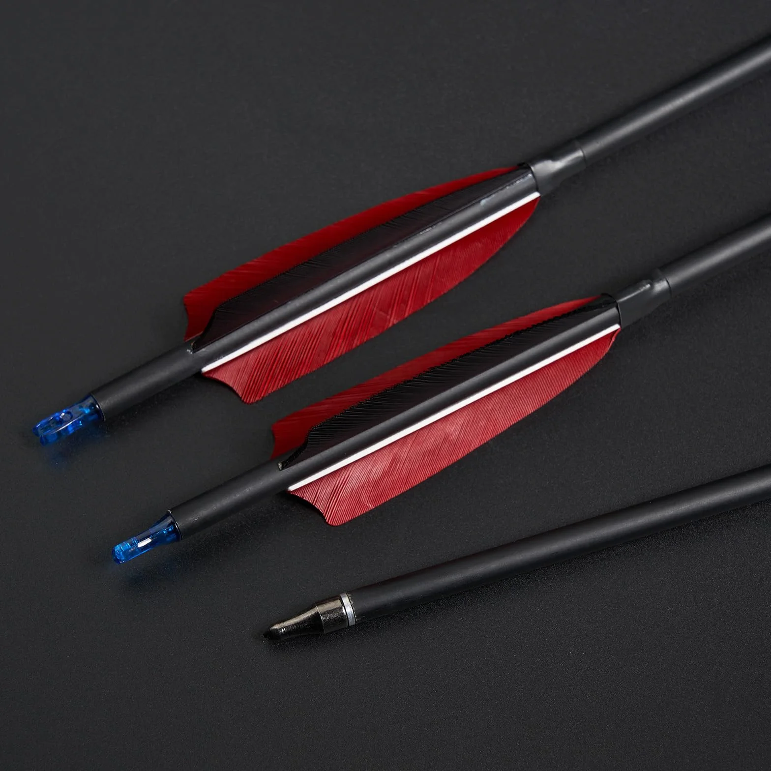 Toparchery Flèches Tir à l'Arc 30 Pouces Carbone Plumes Naturelles Turquie Arc Recurve Compound Long
