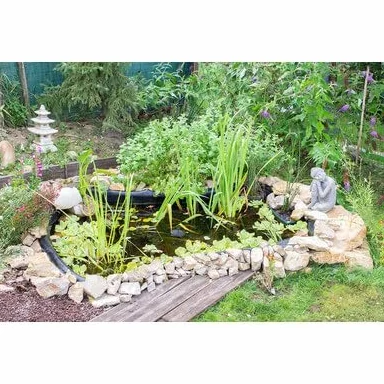 Bassin de Jardin Préformé 1000 litres Nymphéa