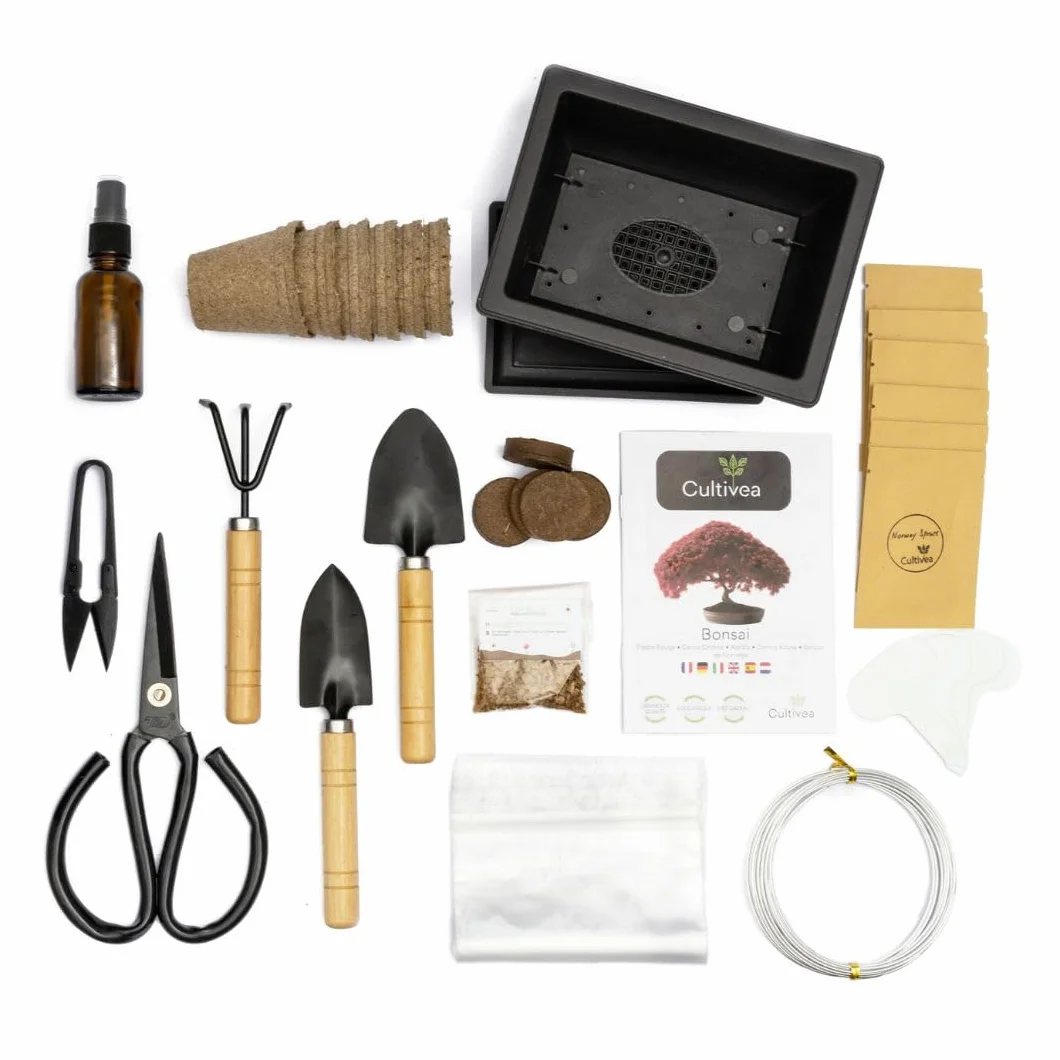 CULTIVEA® Kit Bonsaï Premium Prêt à Pousser - Outils, Ciseaux, Fil pour Entretien de Bonsaïs