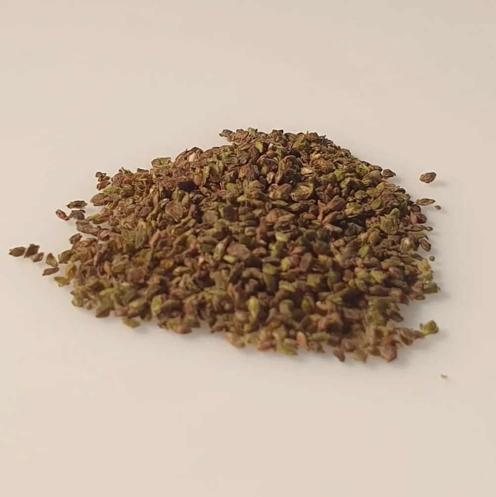 Le Grenier d'Abondance ORTIE Urtica Dioica - 500 graines à semer