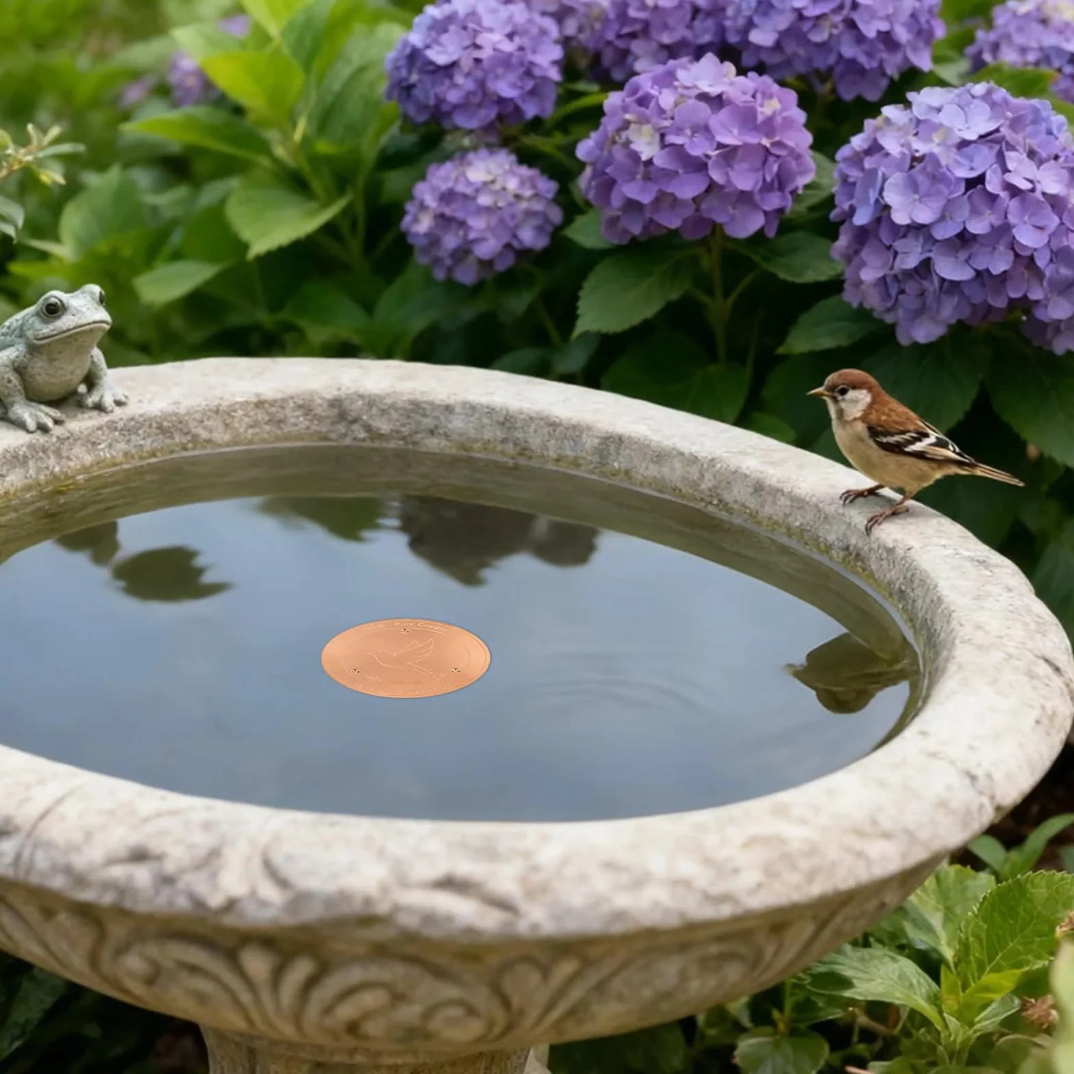 Lot de 2 Disques de Bain d'oiseaux en Cuivre Pur 99,9% pour Fontaines D'extérieur