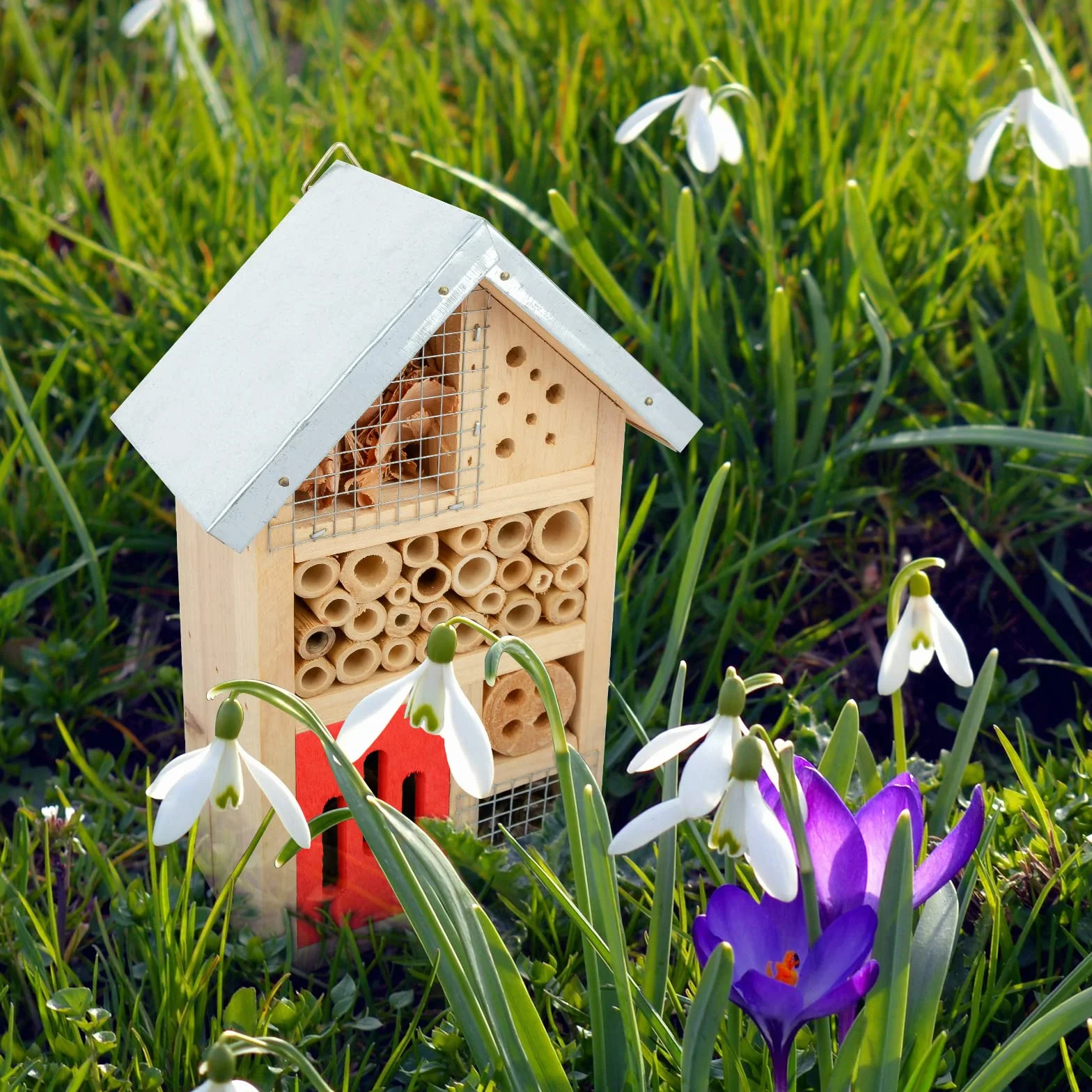 Niteangel Maison Insectes en Bois 25,4 x 15,2 x 8,6 cm pour Coccinelles Chrysopes Abeilles