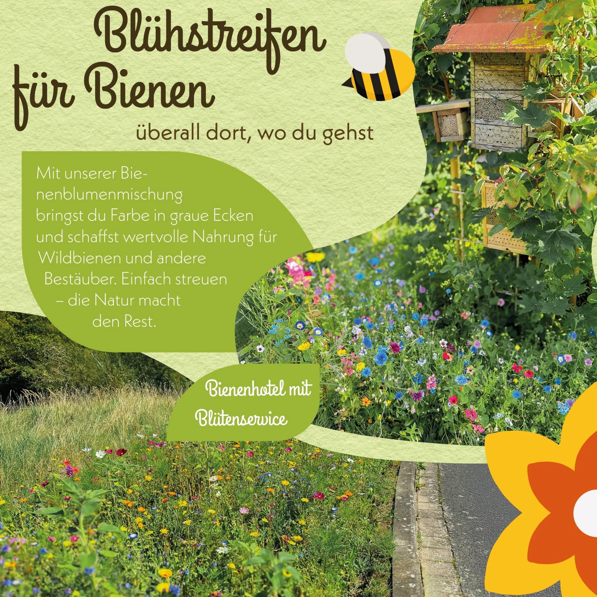 Mélange de graines de fleurs sauvages pour prairie fleurie, riche en nectar pour abeilles et papillons, 100 g (20 m²)