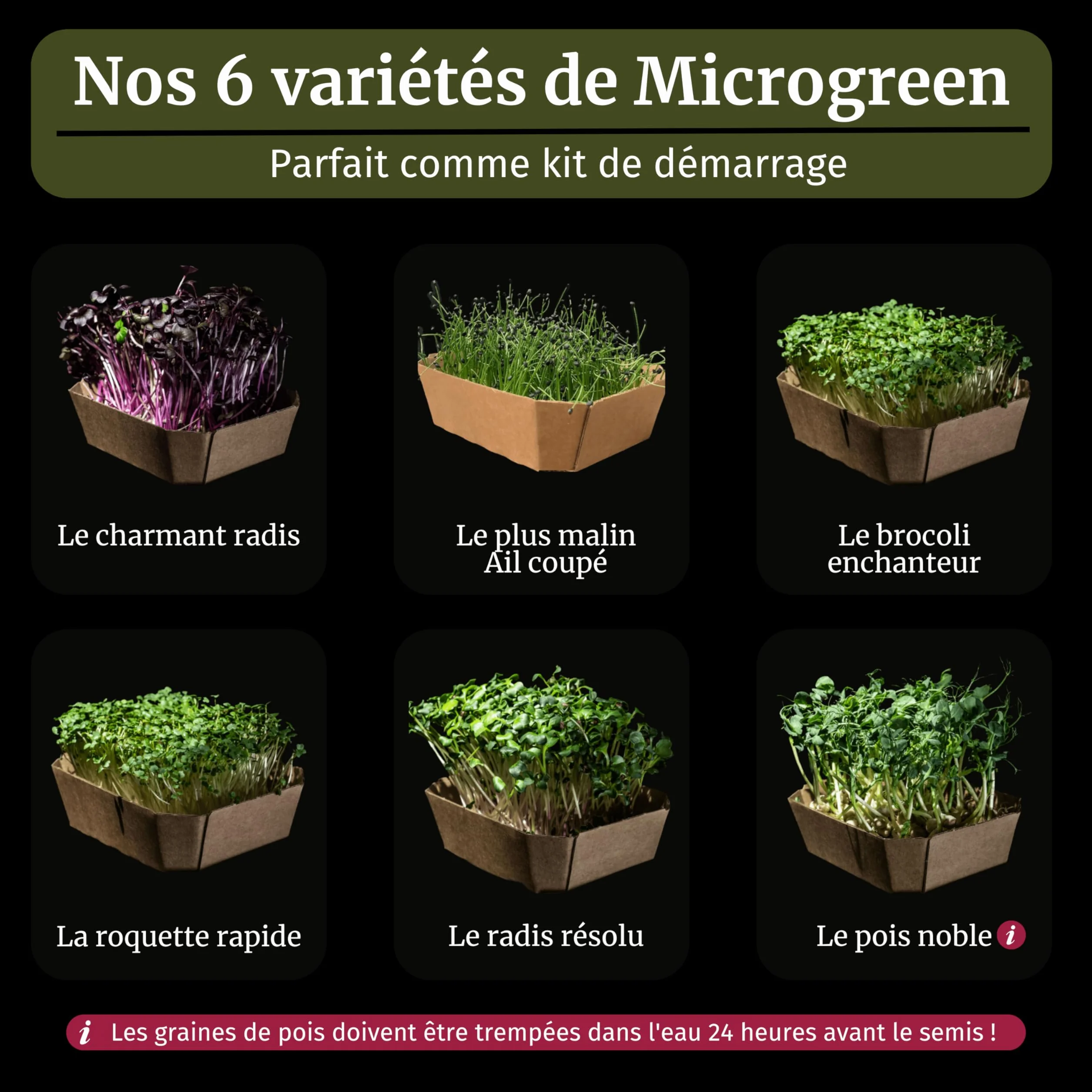 LERAVA® Kit de Microgreens BIO - Graines à Germer avec 6 Tapis de Chanvre
