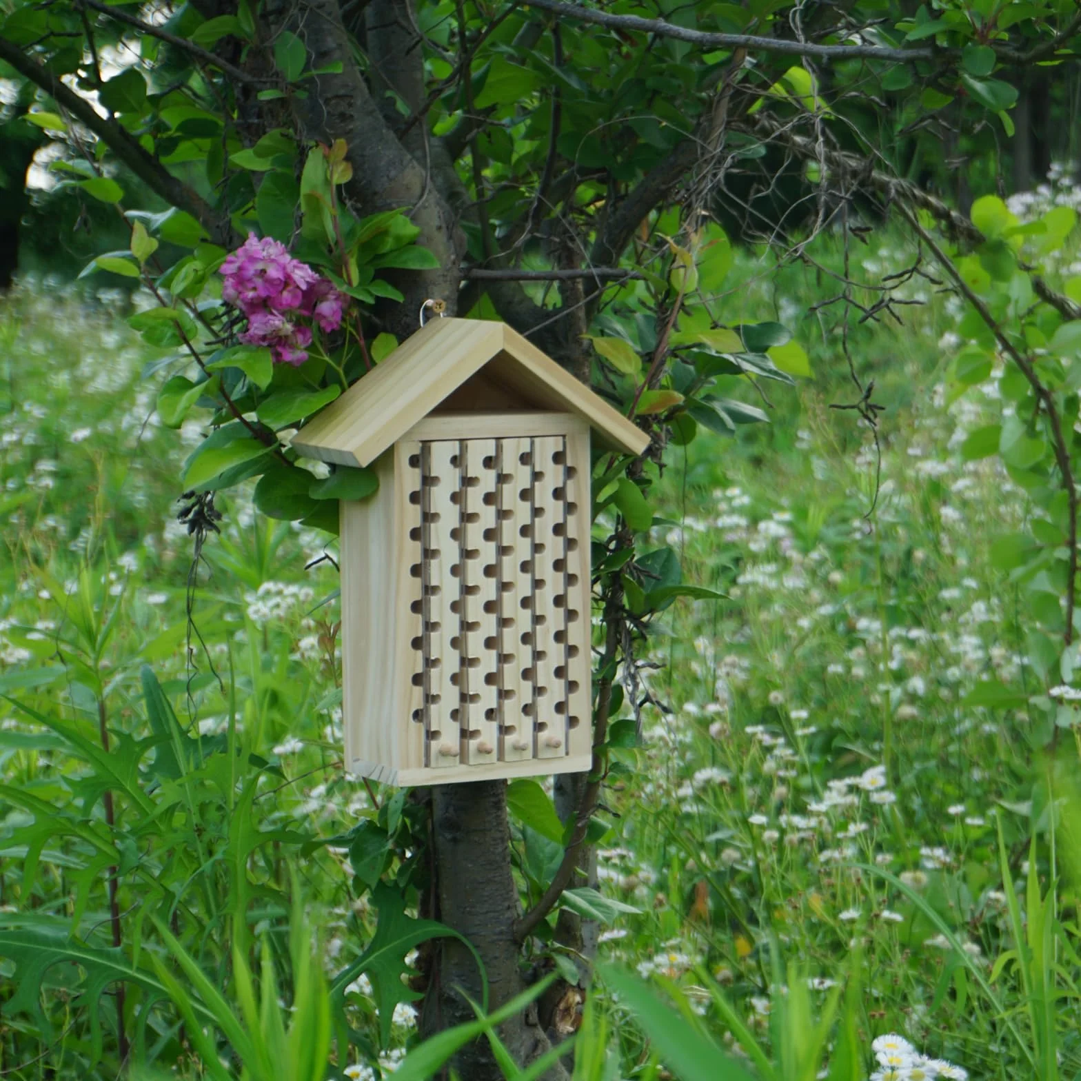 Maison pour abeilles Mason - Hôtel à insectes - Maison de charpentier pour le jardin