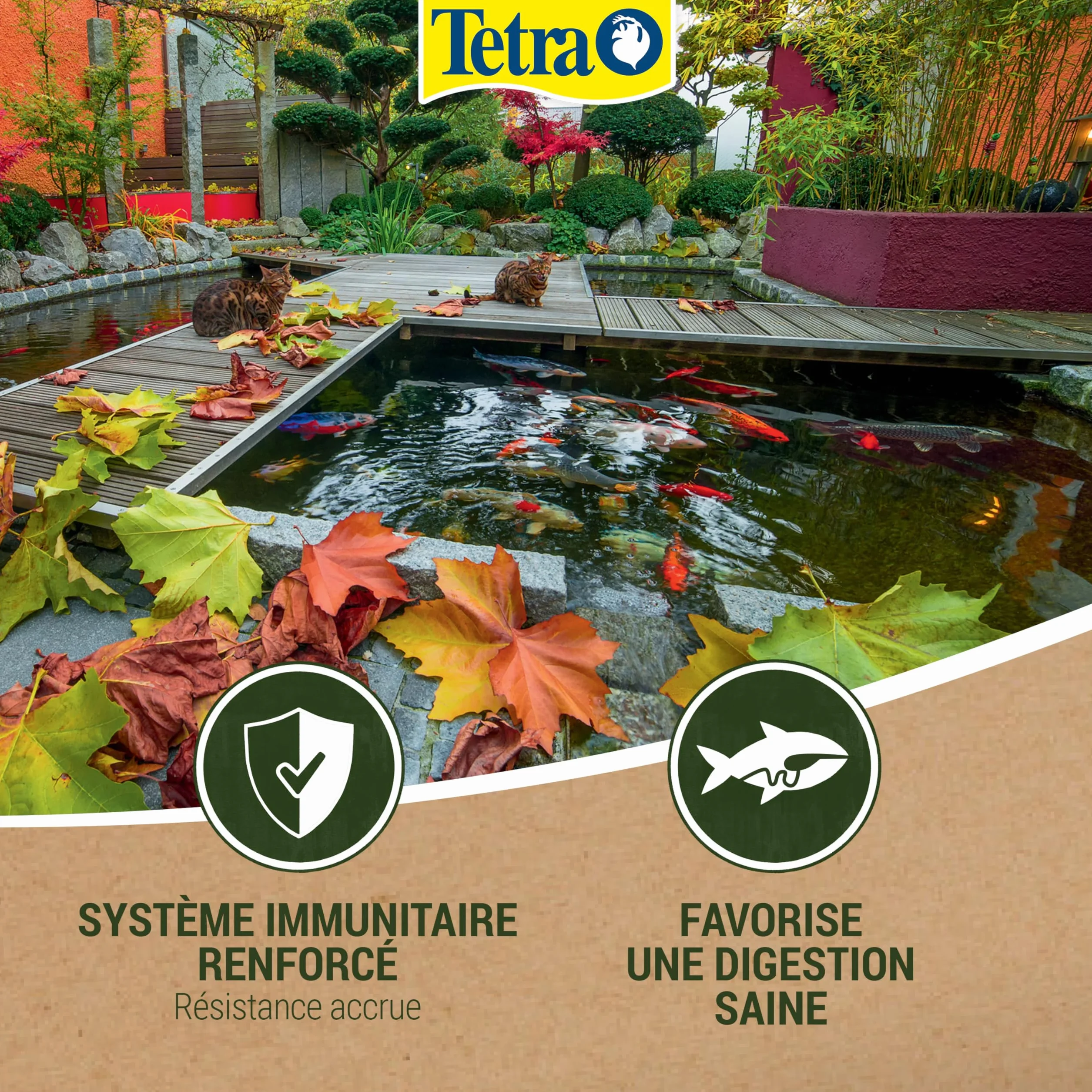 Tetra Pond Koï Aliment Complet Premium pour Carpes Koï de Bassin 4 L