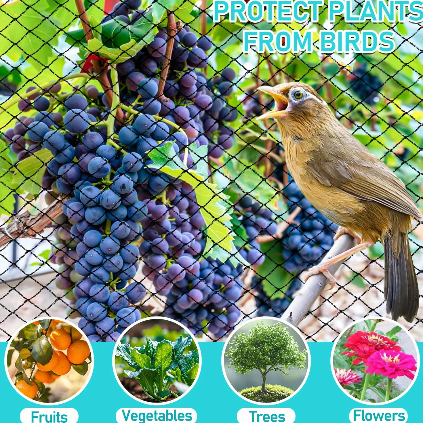 Filet Anti Oiseaux 5m x 4m Noir, Filet Poulailler Protection Bassin Mailles Fines Potager Fruits Résiste Intempéries