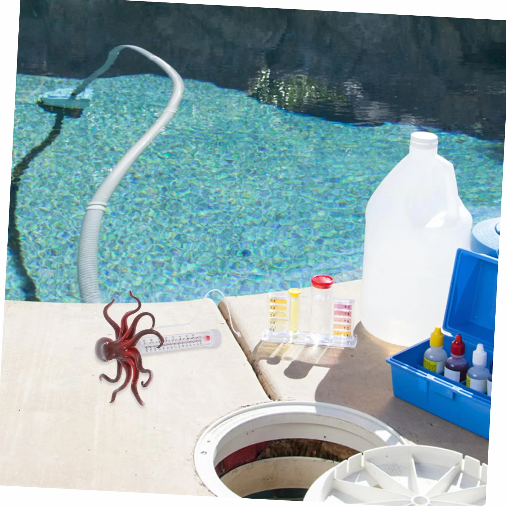 TOYANDONA Thermomètre Piscine Flottant Pieuvre Température Eau Précis