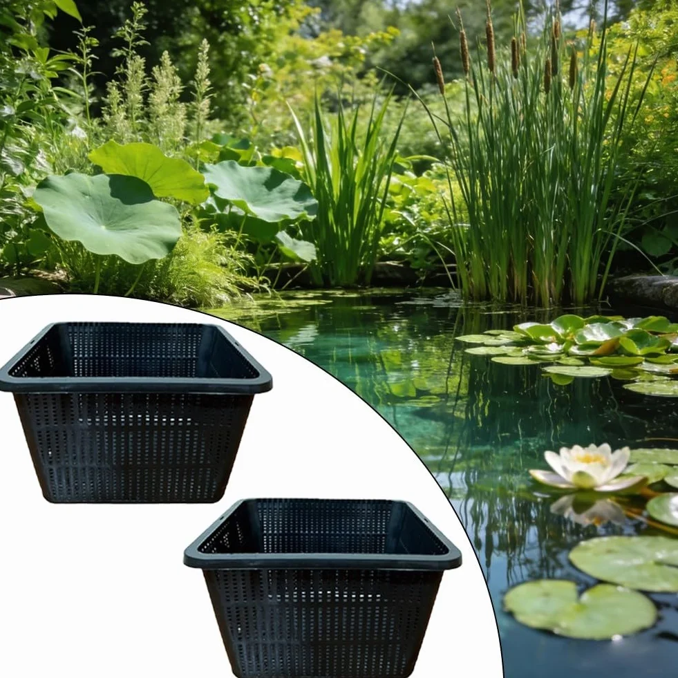 Lot de 4 paniers de plantes hydroponiques en maille pour DWC et culture drainage