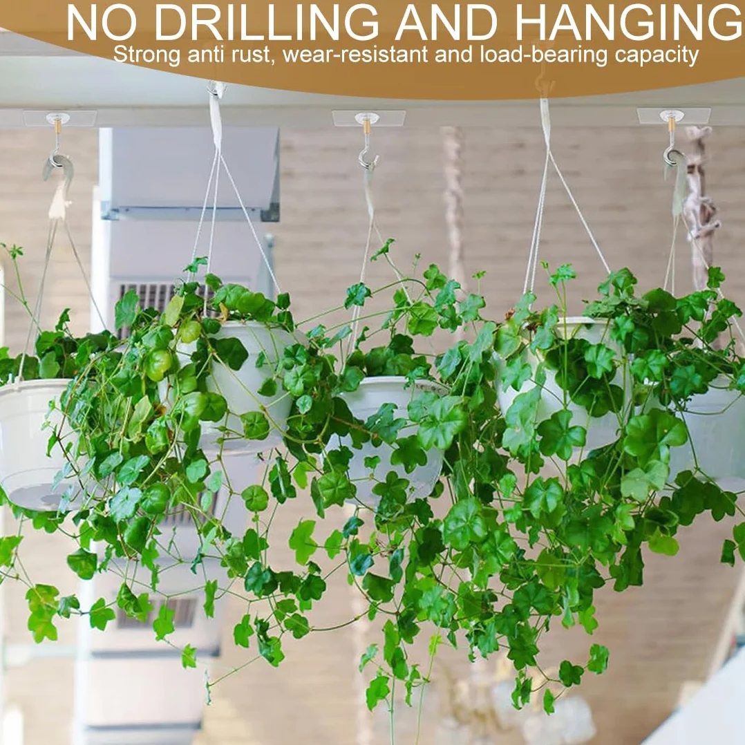 Crochets de Plafond Autocollants Sans Perçage Transparent, 4 Pièces, Acier Inoxydable pour Plantes Suspendues